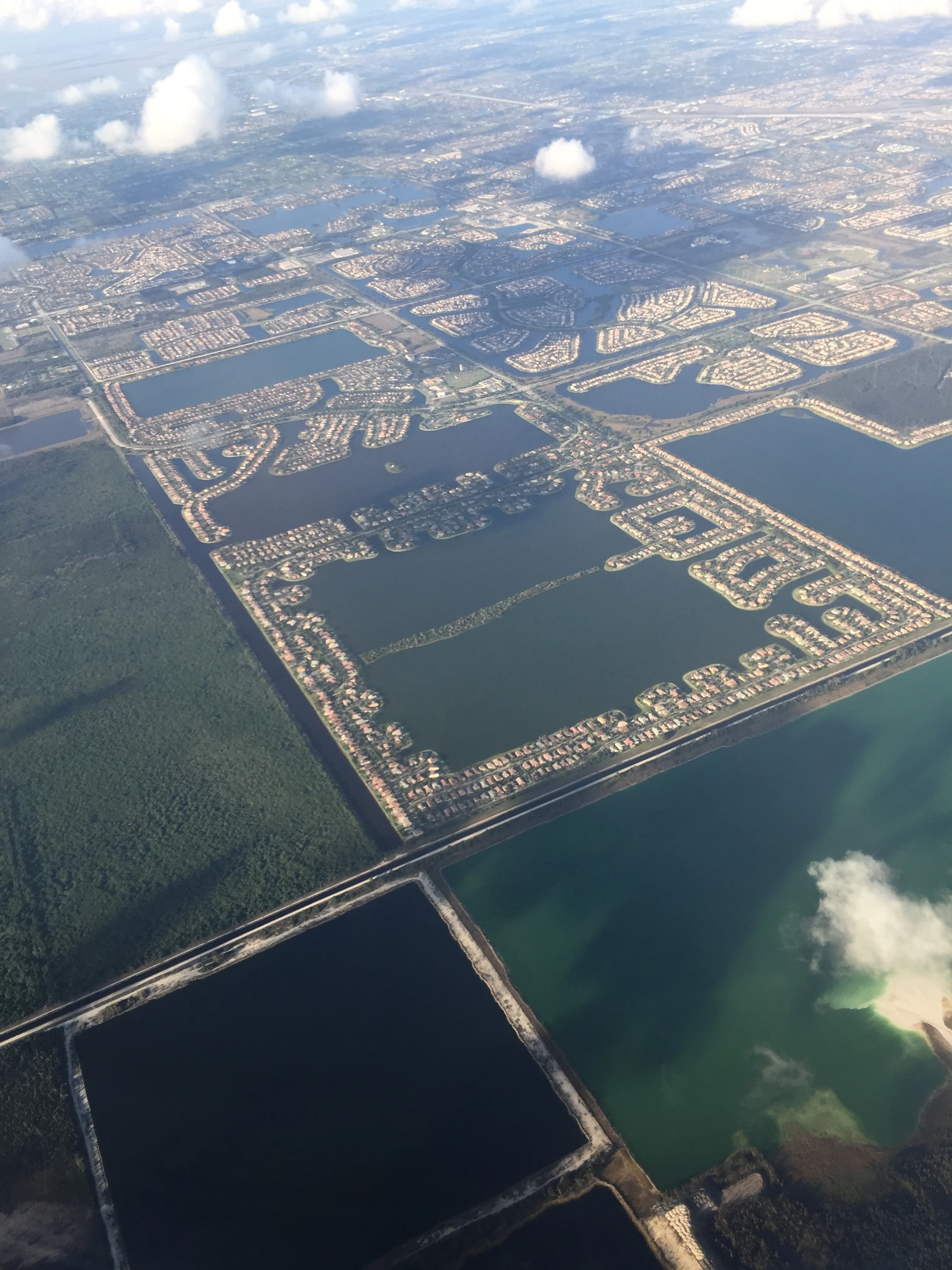 the edge of the Everglades (by P Leavitt)