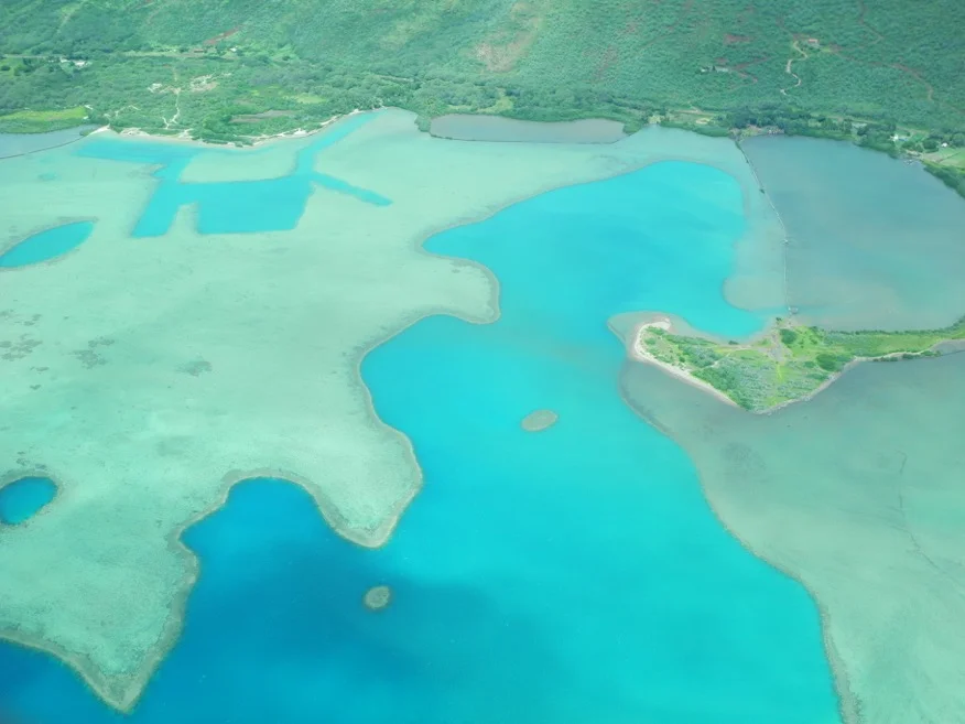 Molokai reef (by C Mann)