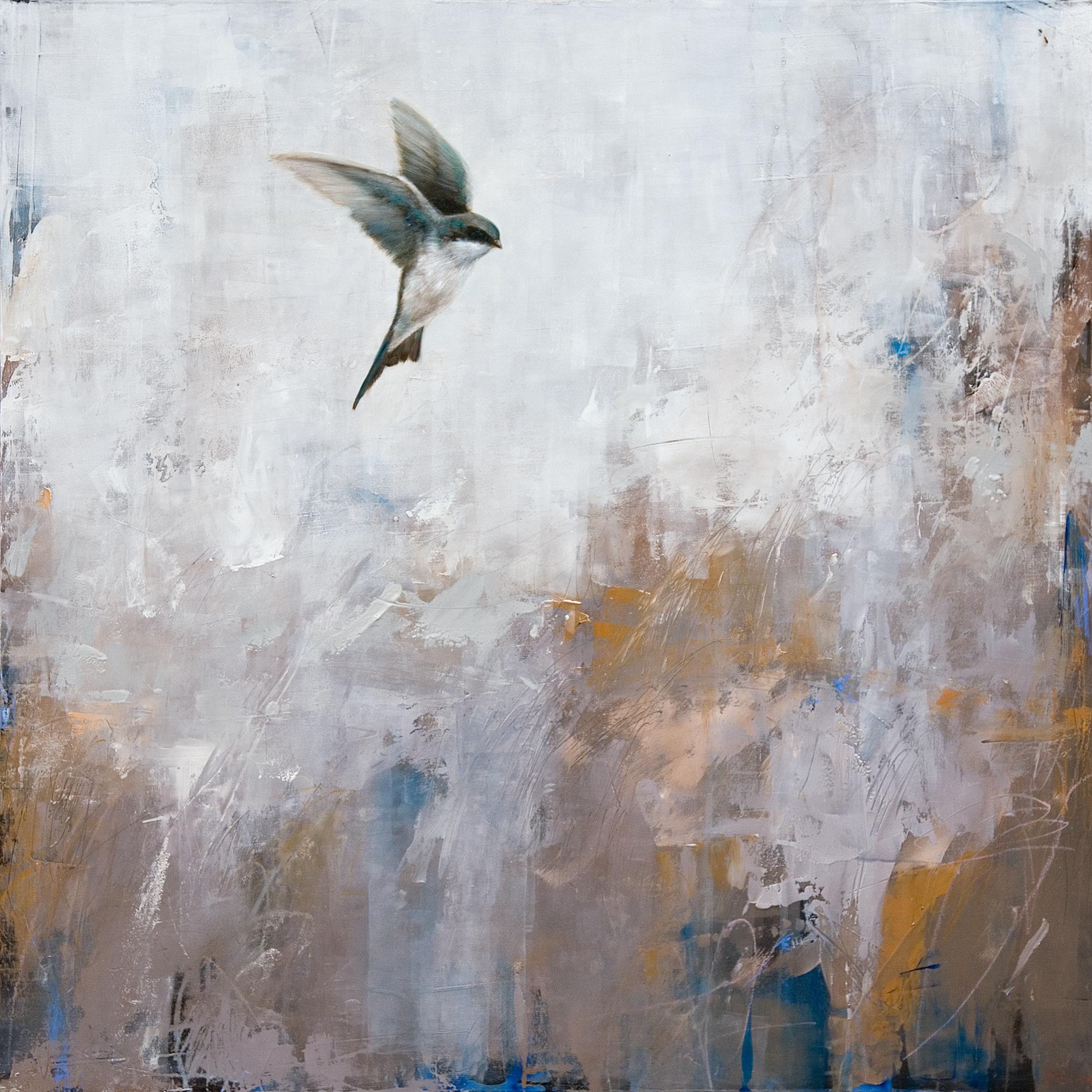 Tree Swallow in Flight
