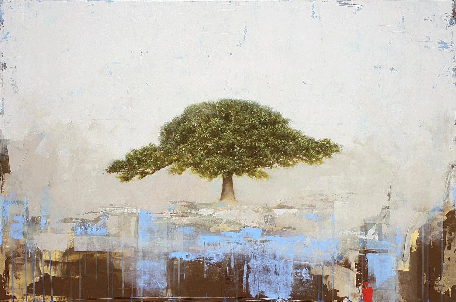 Wisdom Tree