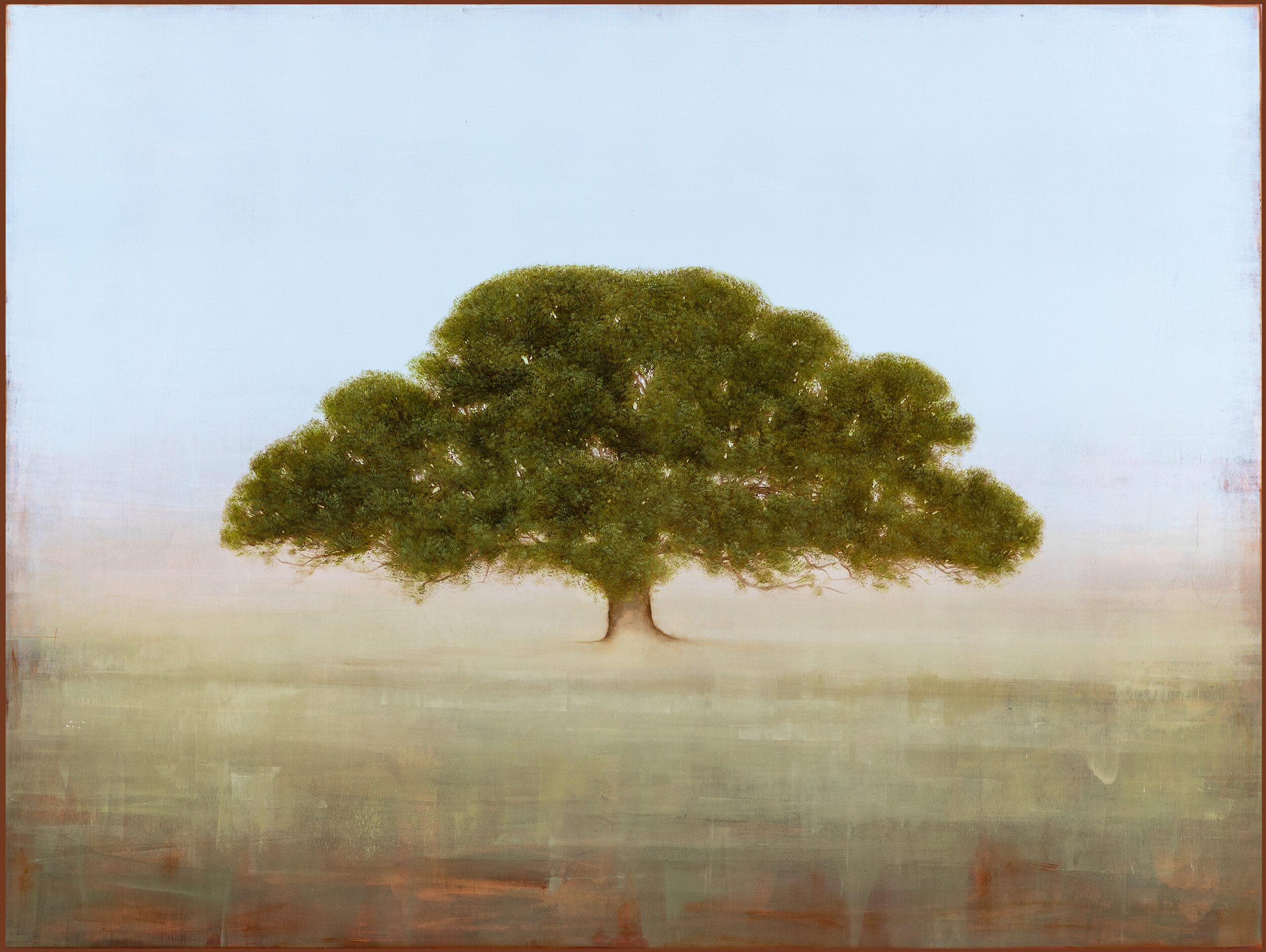 Wisdom Tree