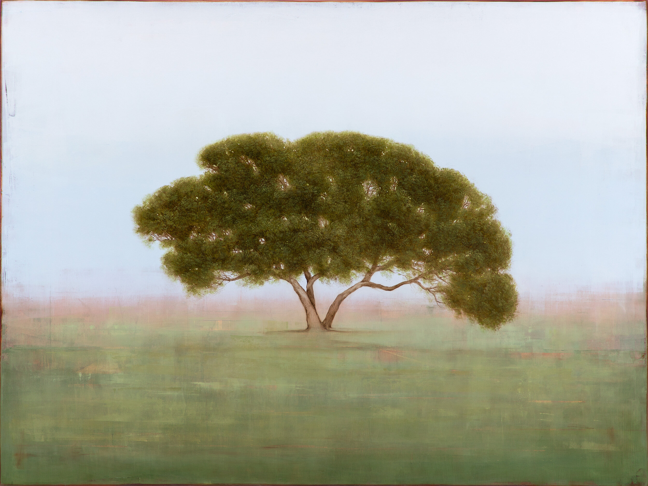 Field of Wonder
