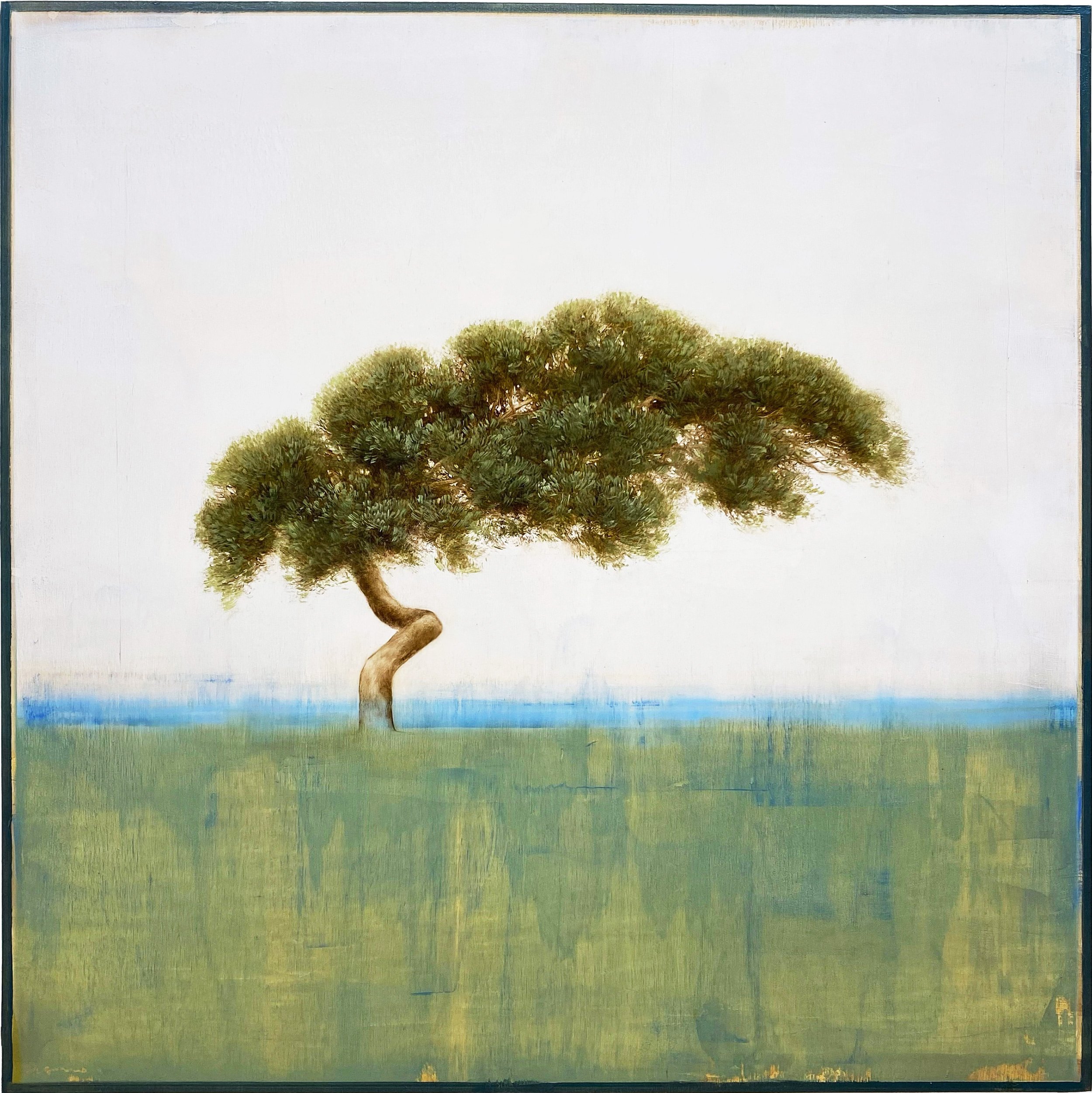 Rooted in Time