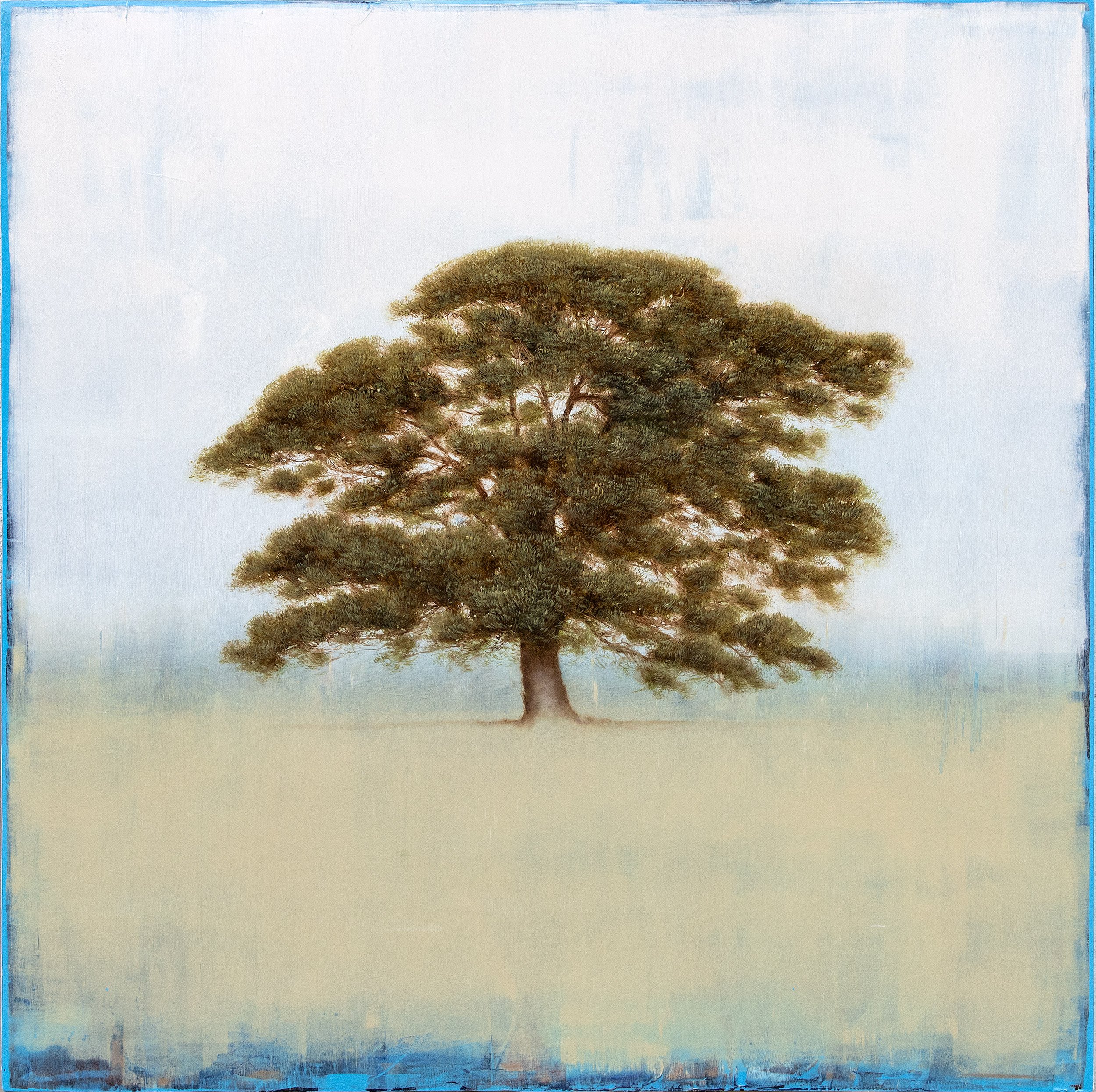 Rooted