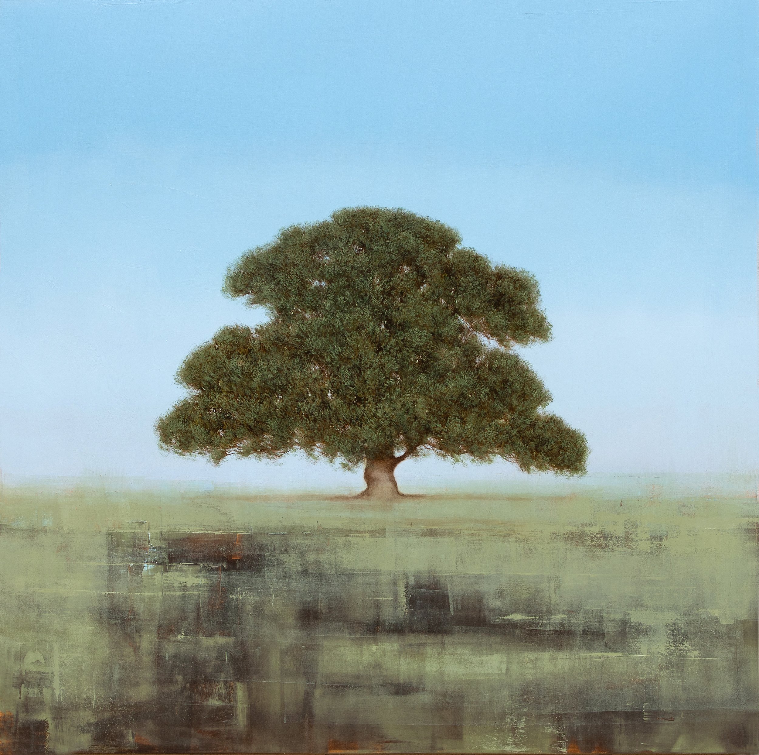 Rooted Deeply