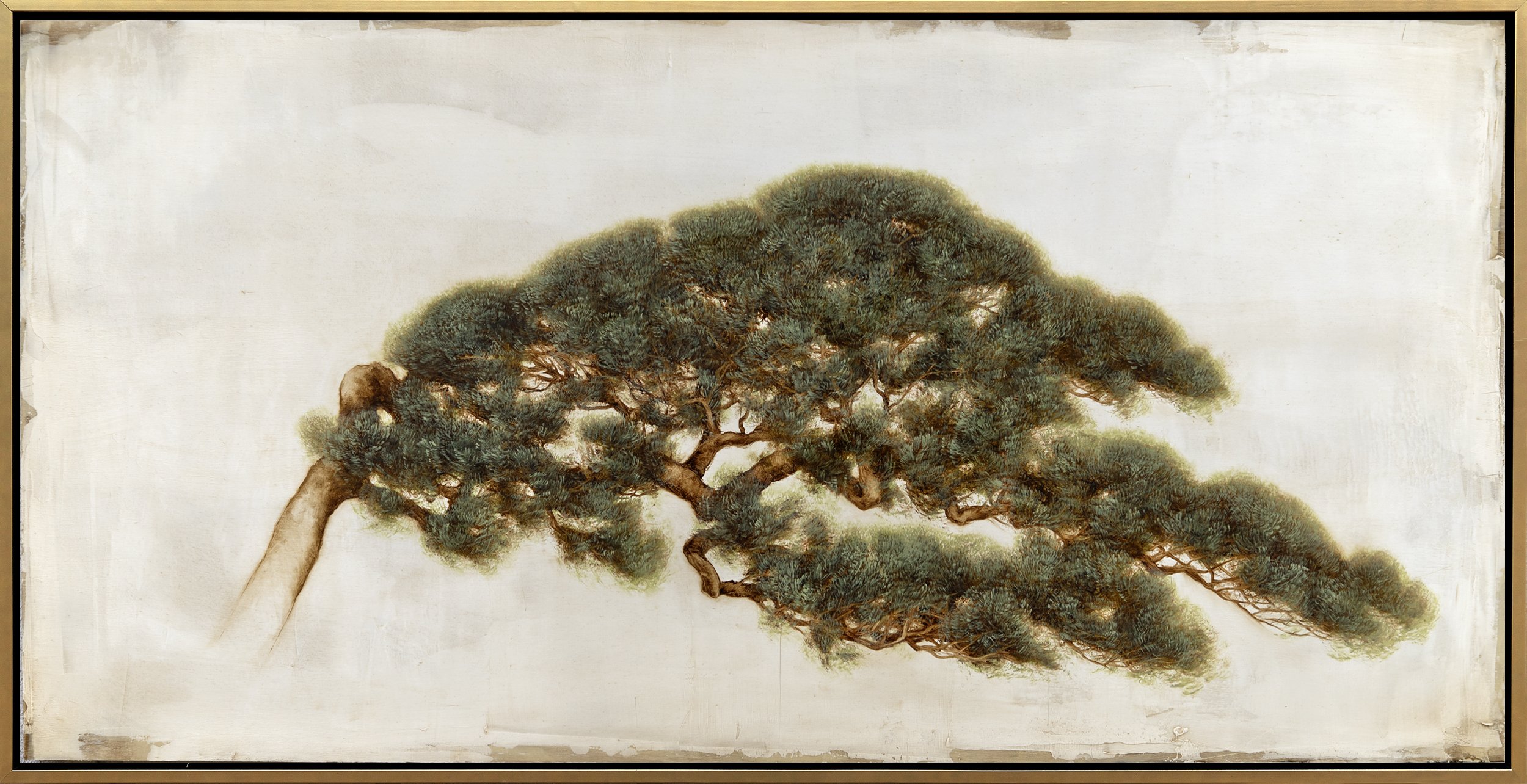 Juniper Bonsai