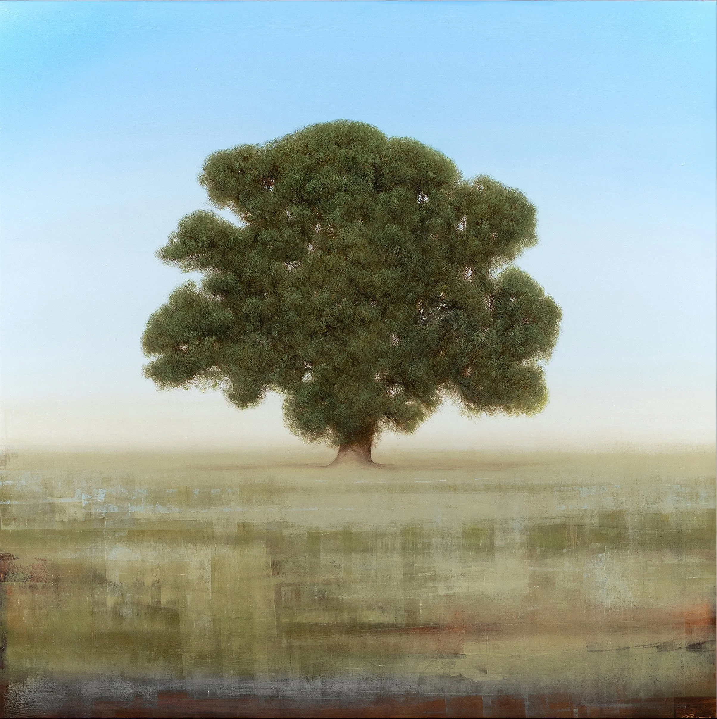 Timelessness Found in Nature