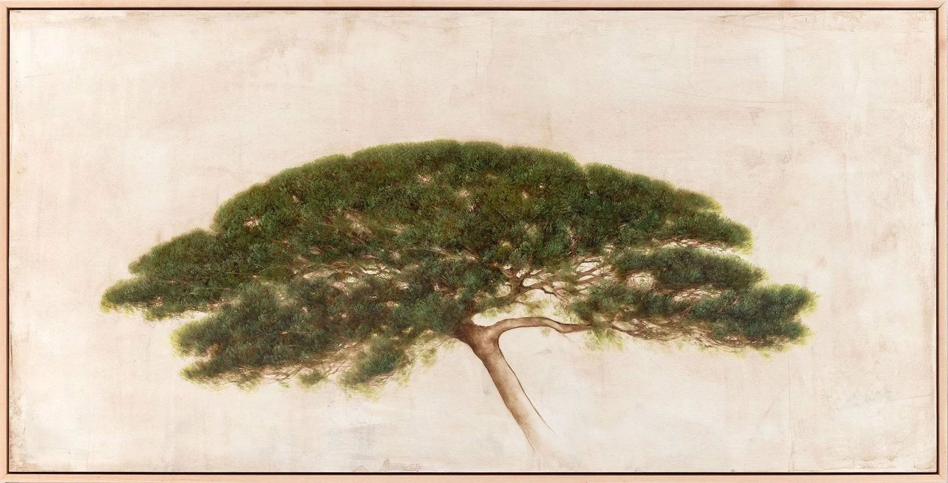 Warmth that is Morning Light