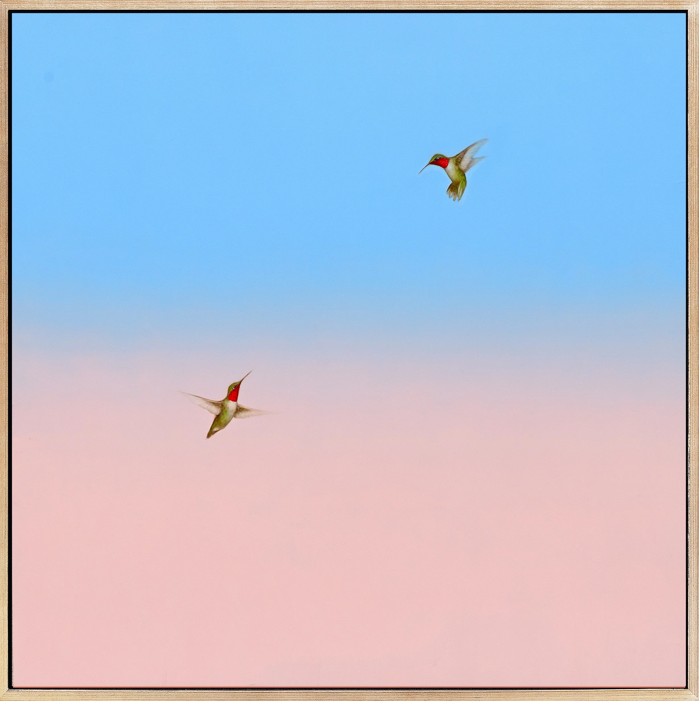 Soaring Through the Light