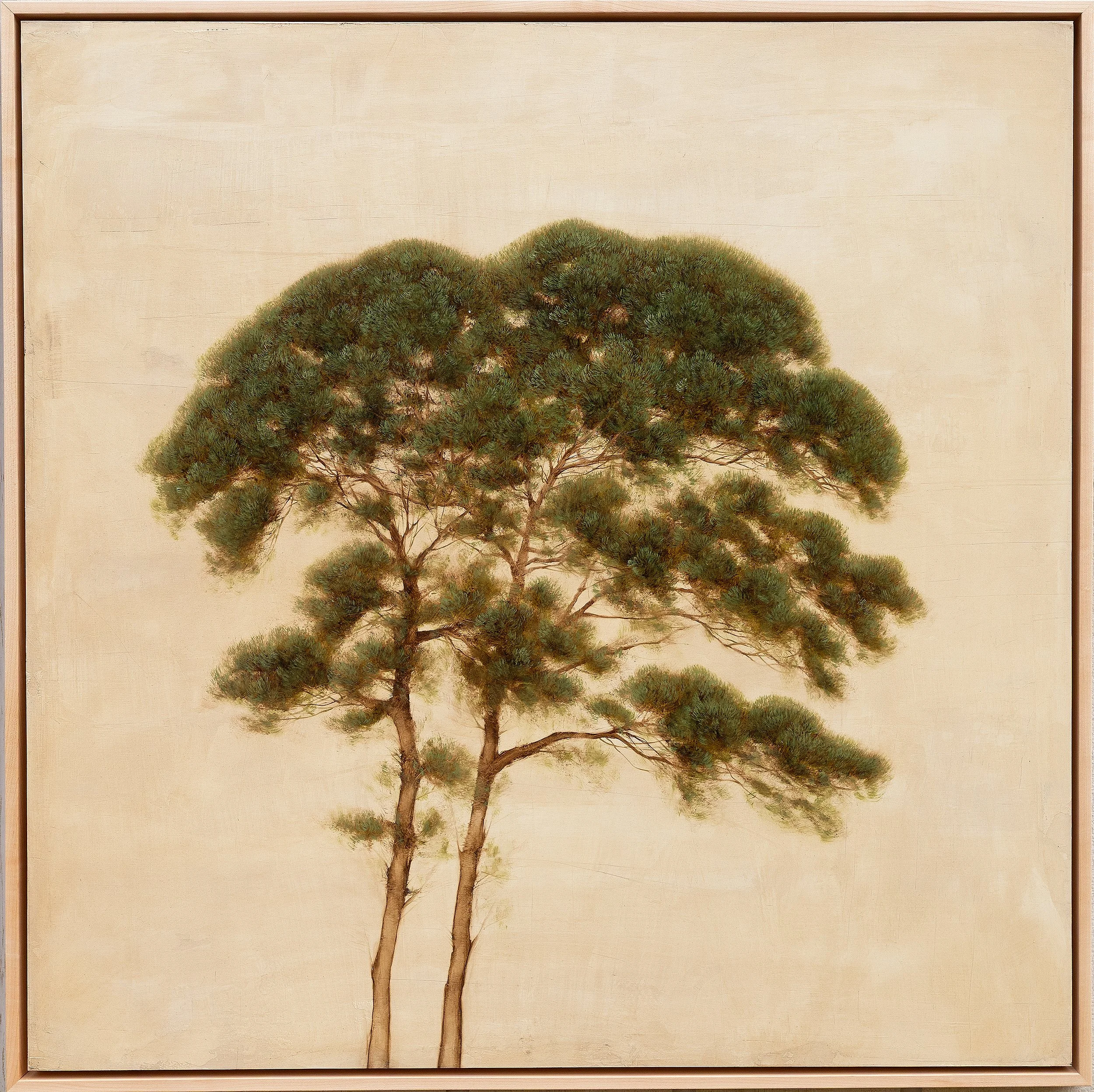 Pitch Pines