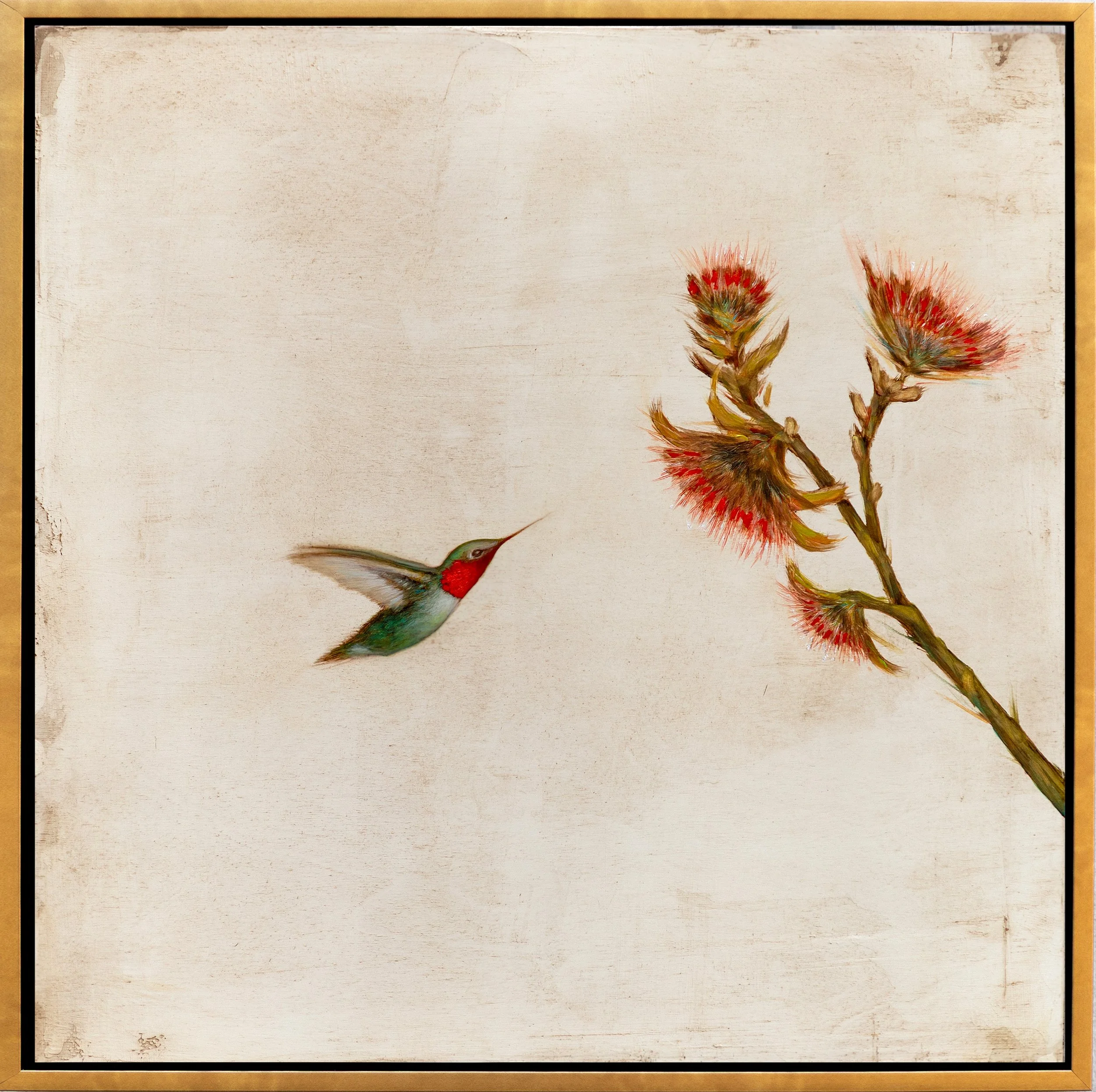 CuriosityInNature_22x22.jpg