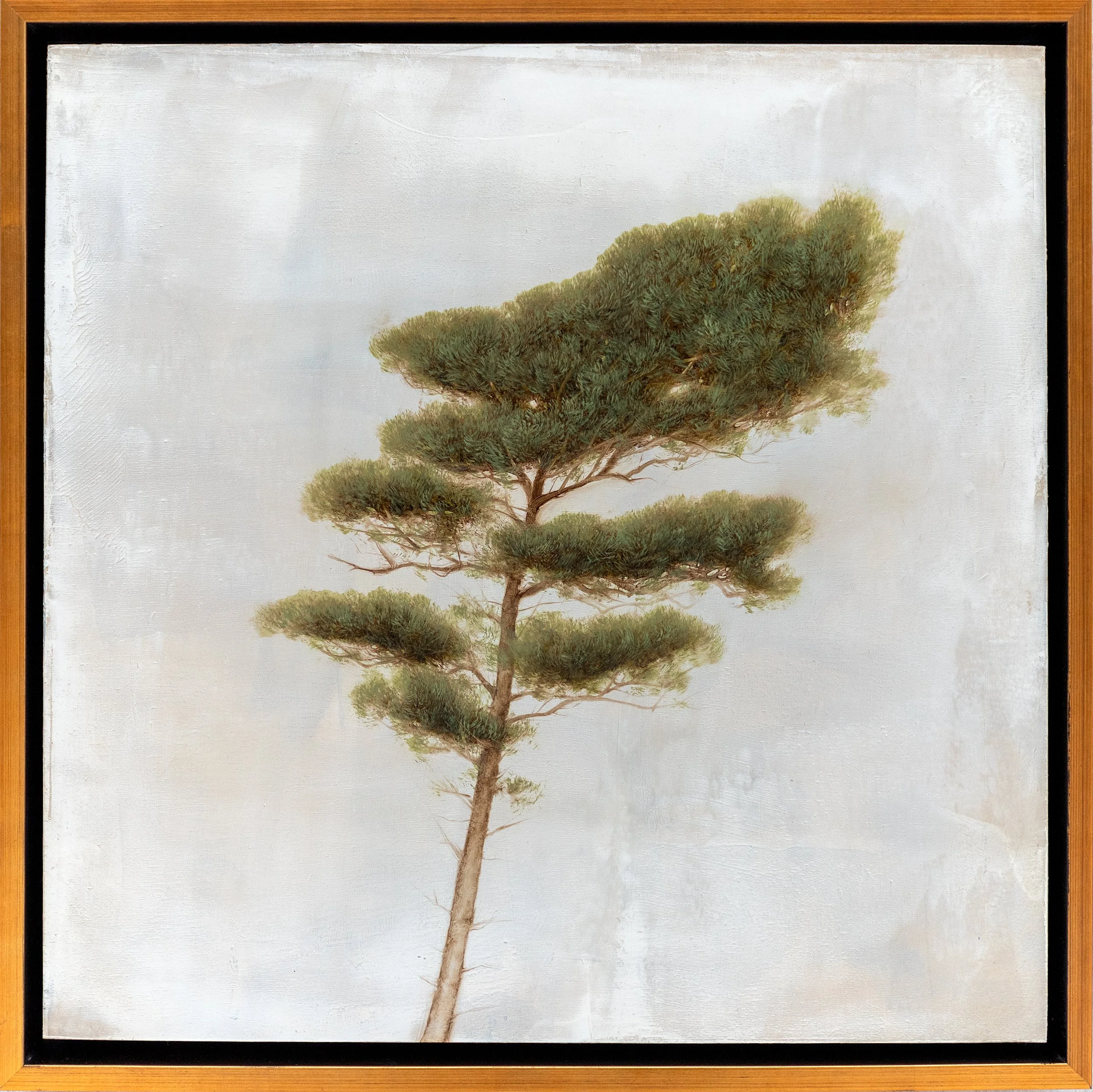 tallpine_22x22framed.jpg