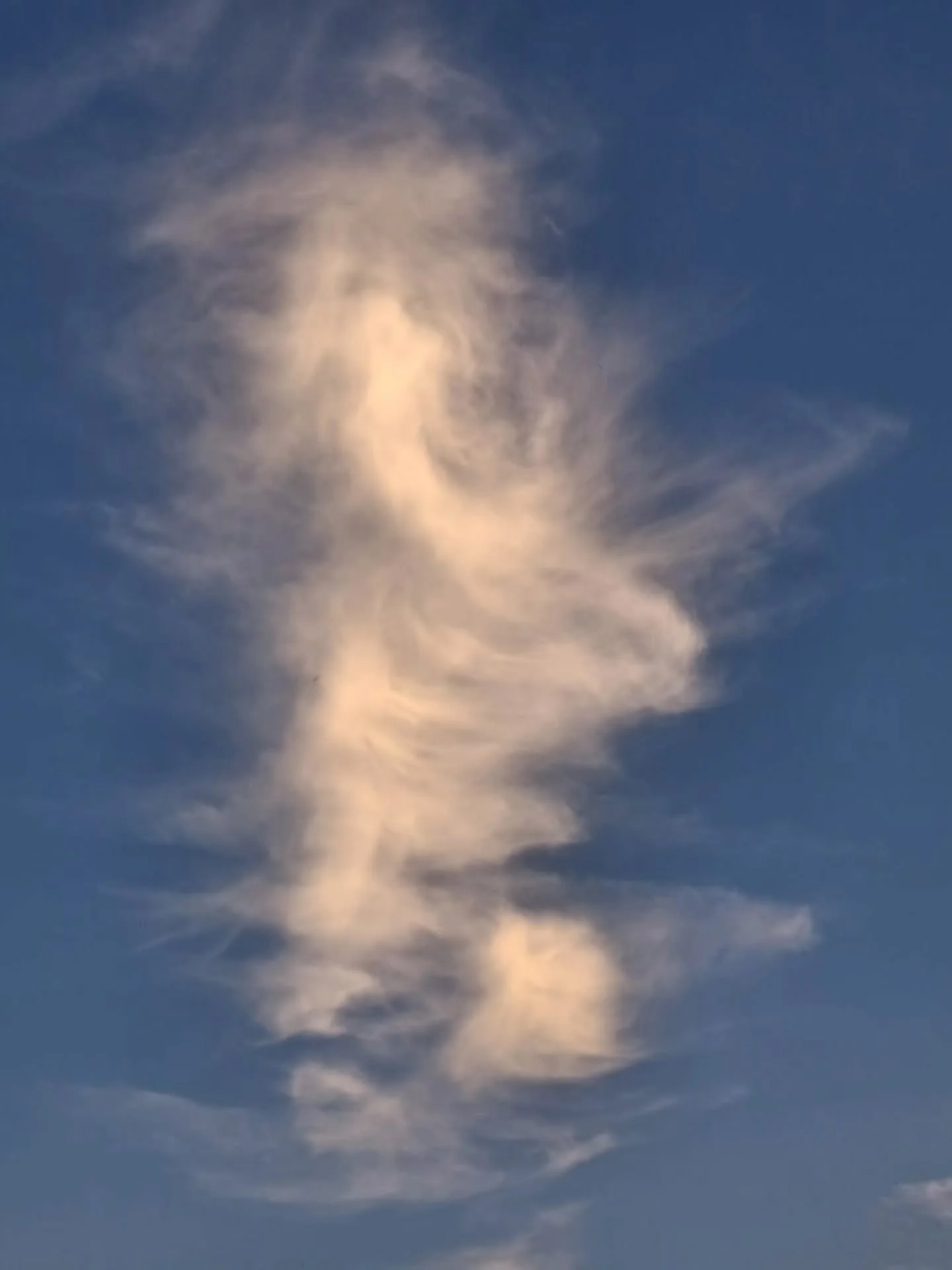 Nog steeds op wolkensafari....