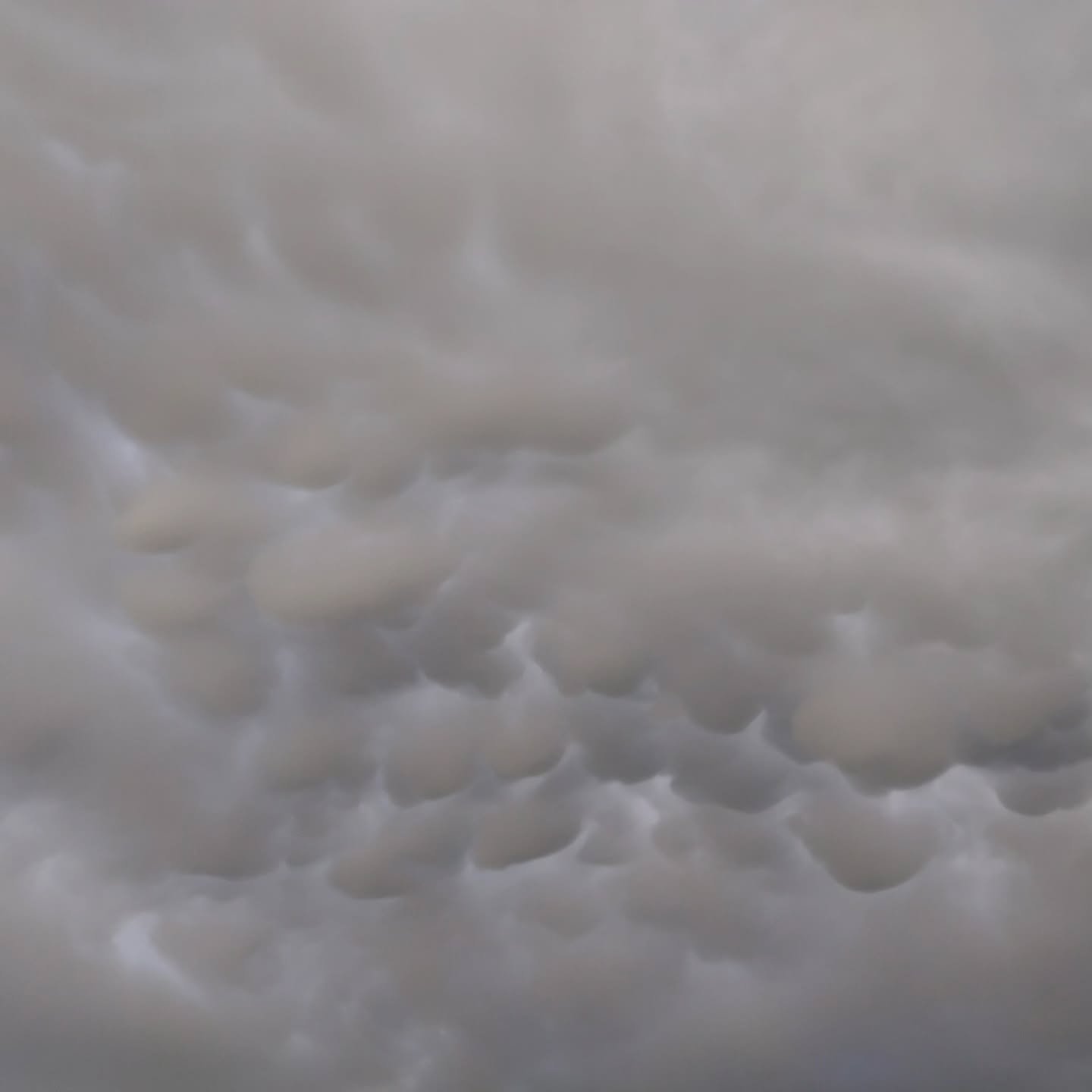 Jaja, daar zijn ze weerrrrrrr, cloud ☁️☁️☁️☁️☁️☁️☁️☁️☁️

#cloud9 #clouds #cloudlovers #cloudchaser #cloud