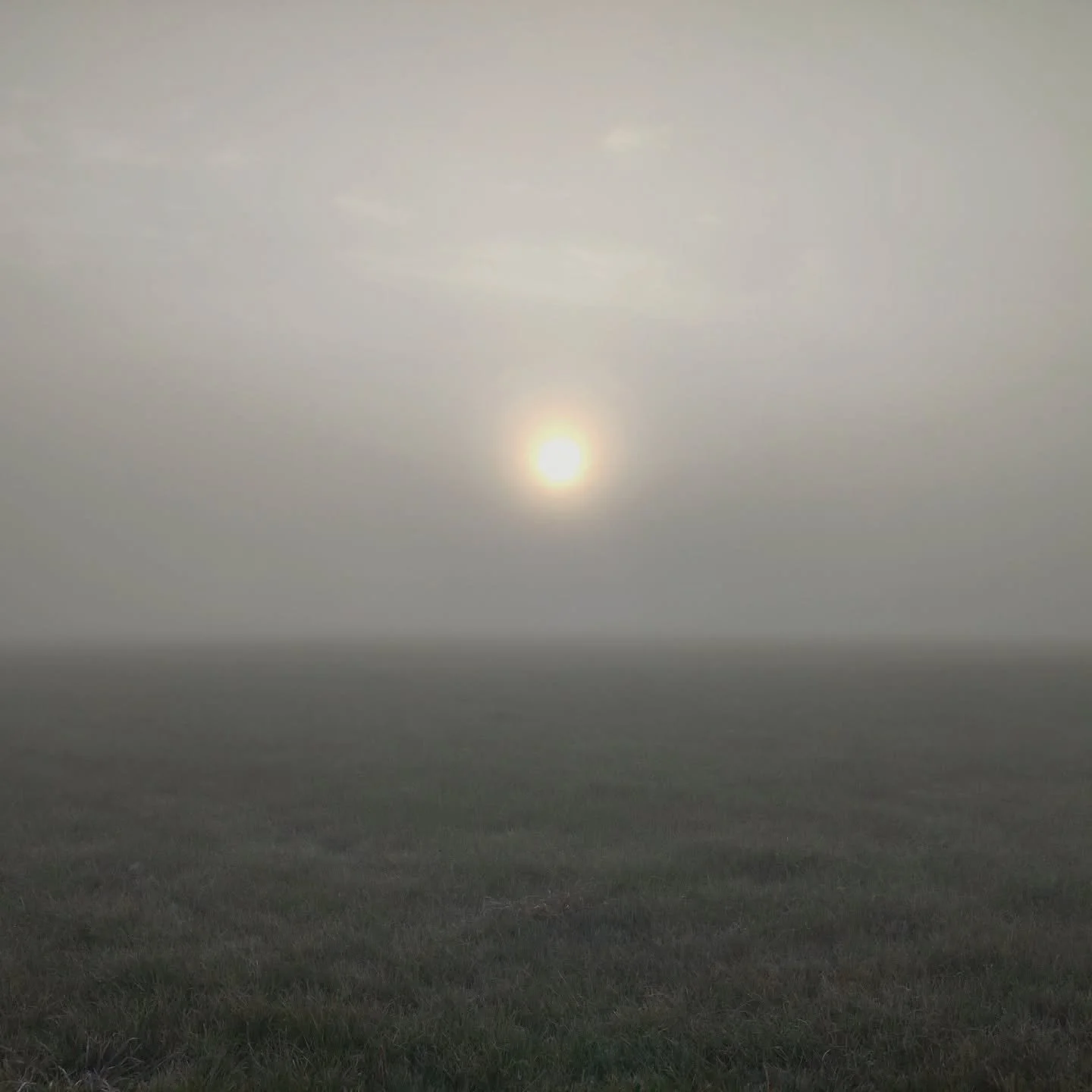 Herfstochtenden in waas, deel II

#herfst #oktober #mist #phonephotography #natuurlijkfilter #geenfilter #nofilter