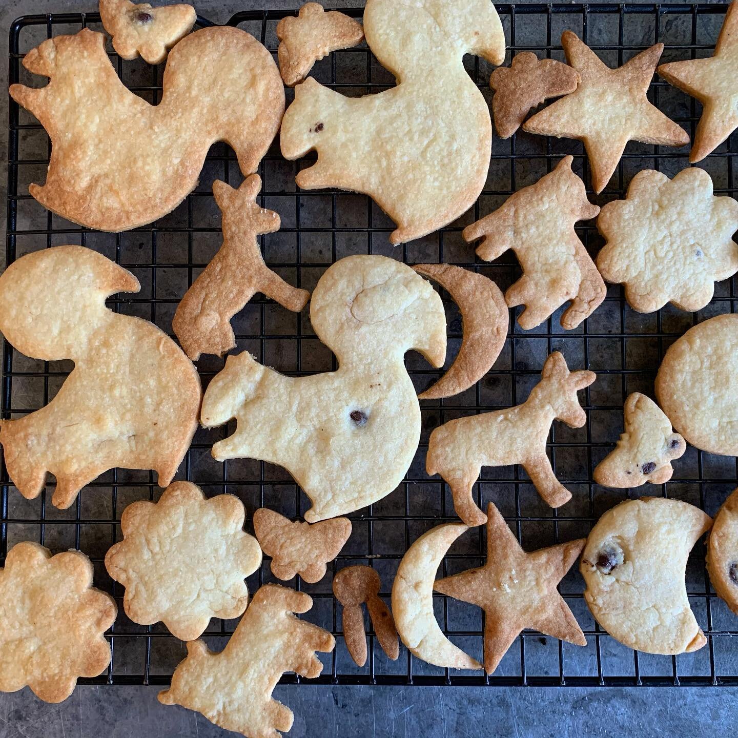 Totally random orange butter biscuits with the odd chocolate chip... not sure if they are more for me or the boys for a post snooze afternoon pick me up. Recipe from my book &ldquo;Christmas&rdquo; - originally for stained glass tree biscuits... some