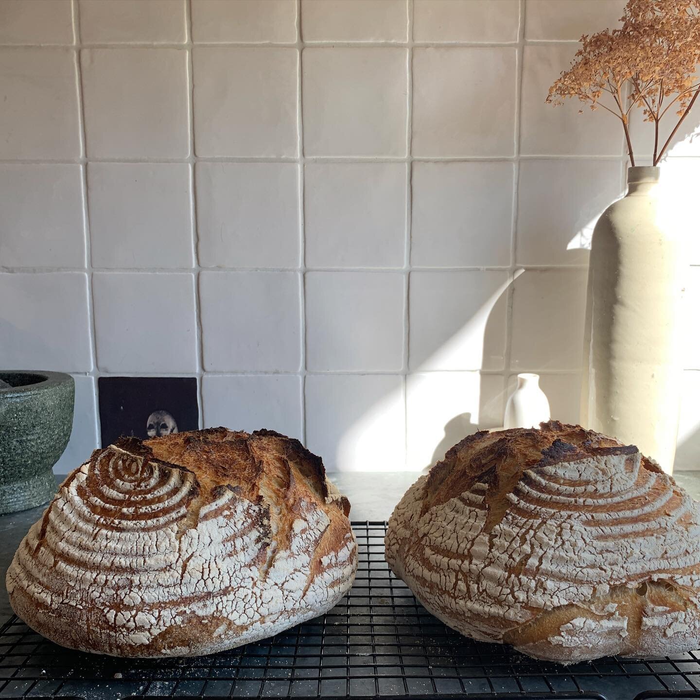 A lockdown rite of passage. And as the saying goes... if you can&rsquo;t beat them, join them
#sourdough #lockdownclich&eacute; #coilfold #shiptonmill