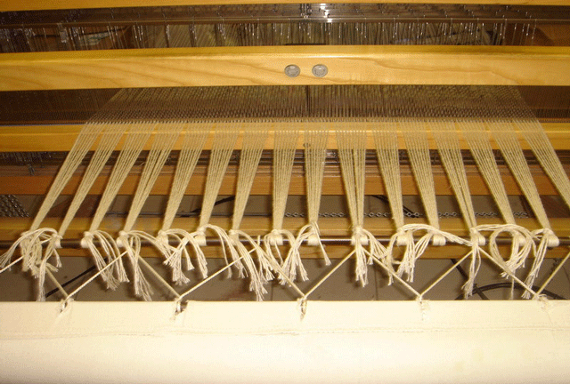 Warp tied to apron on the front of the loom.