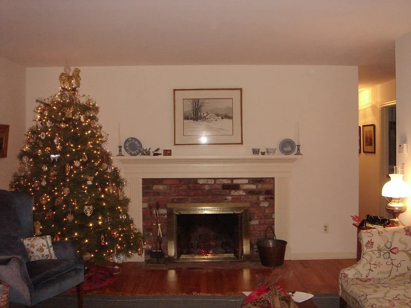 Our living room tree!