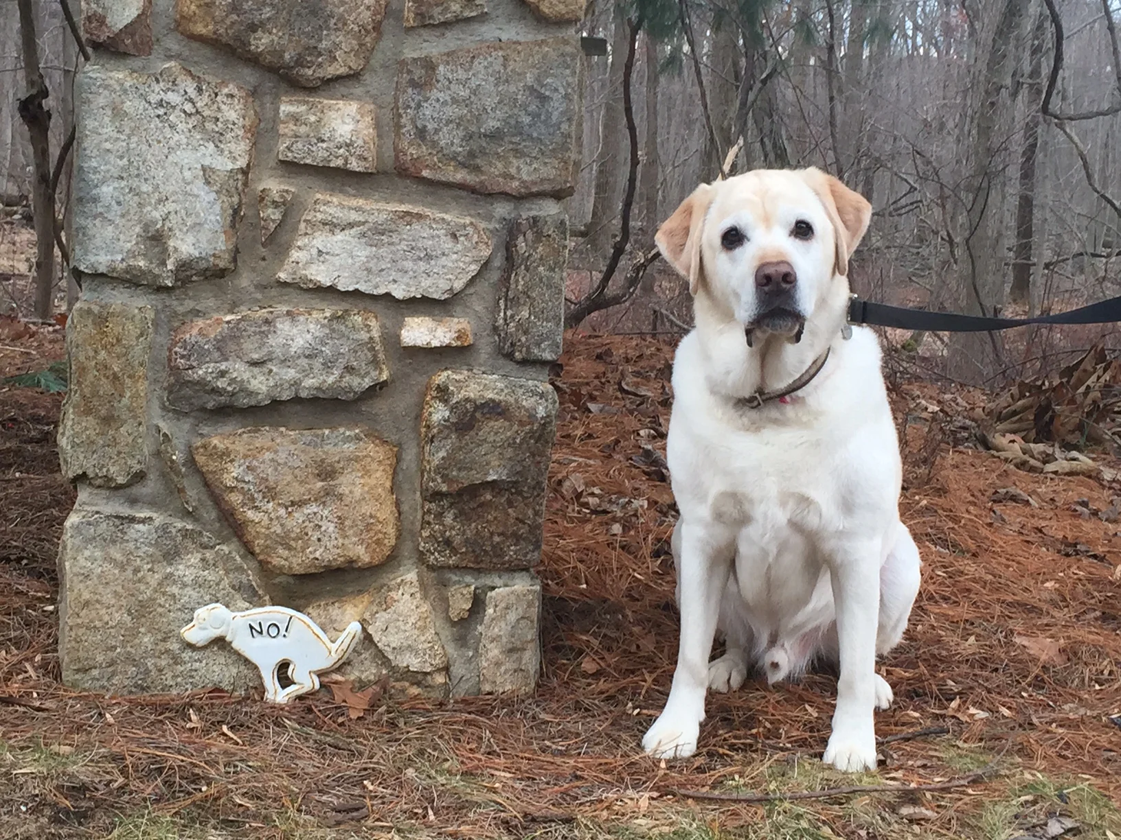 Cider says "This sign doesn't refer to me, right?"