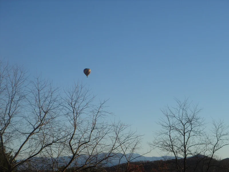 A view from our deck