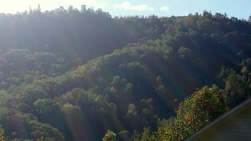 The ridge behind our house in the morning sunlight