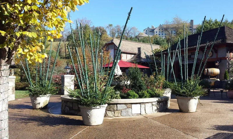 20171026_102359.jpg