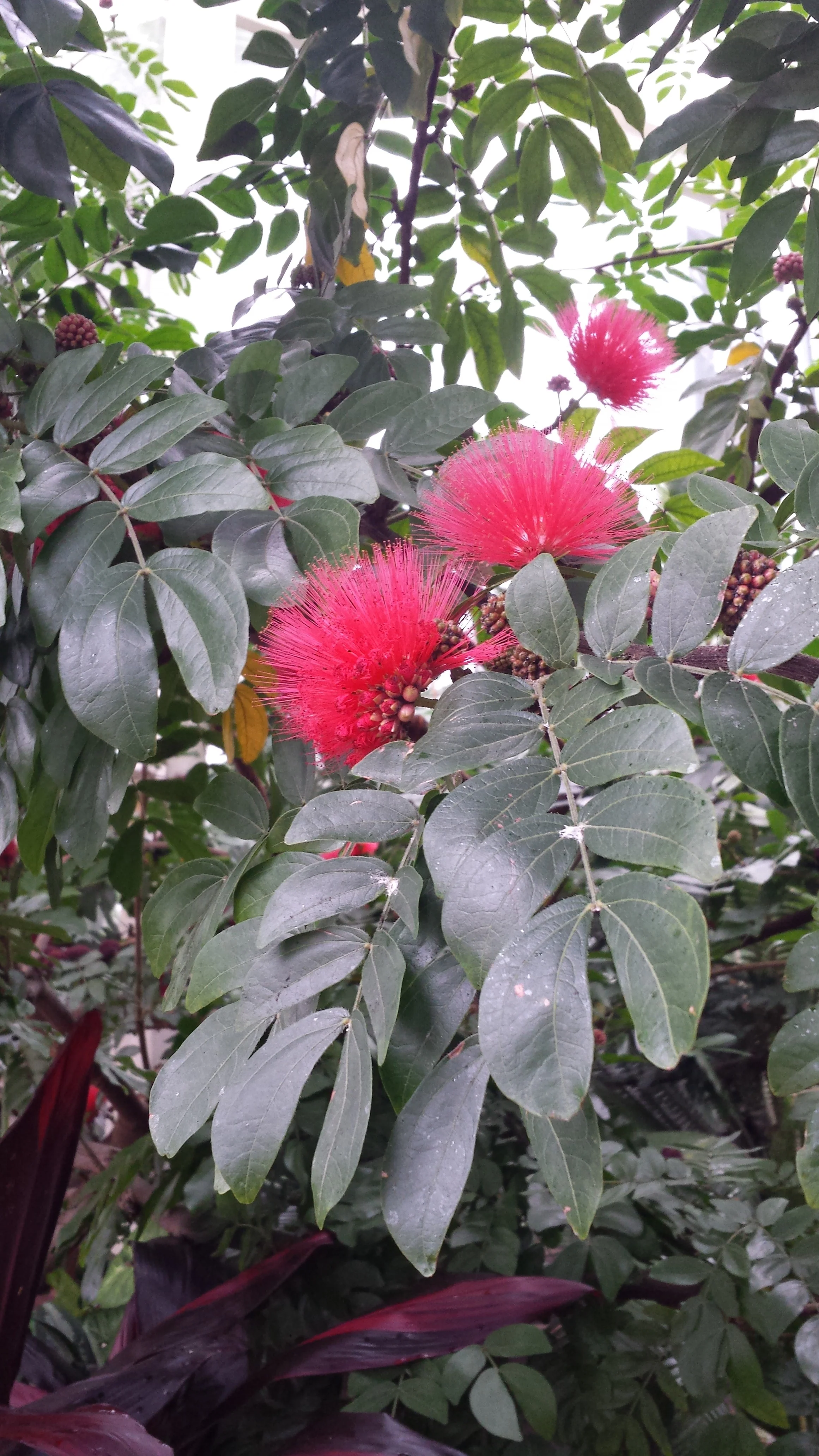 20190117_153738.jpg