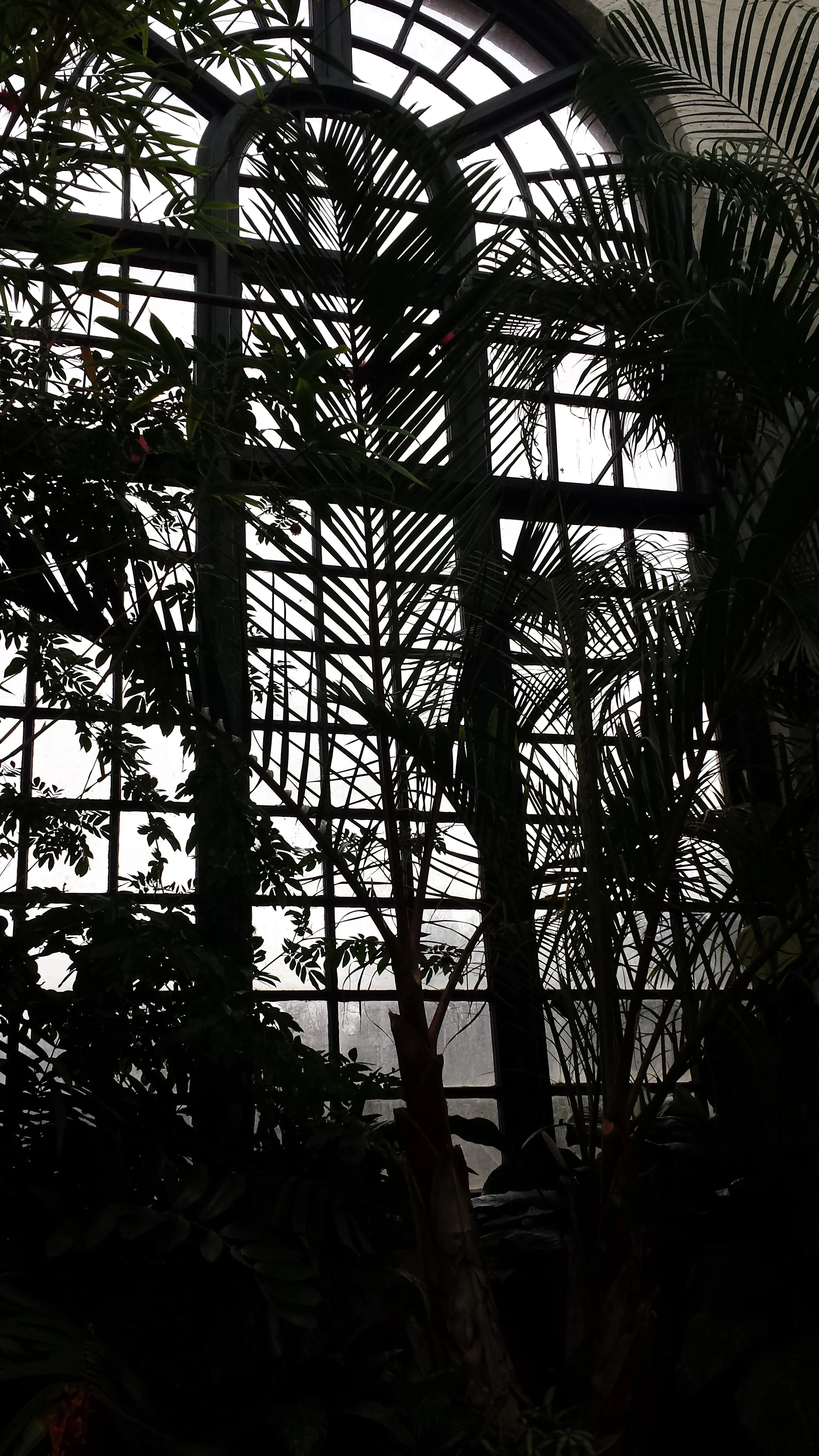 20190117_154832.jpg