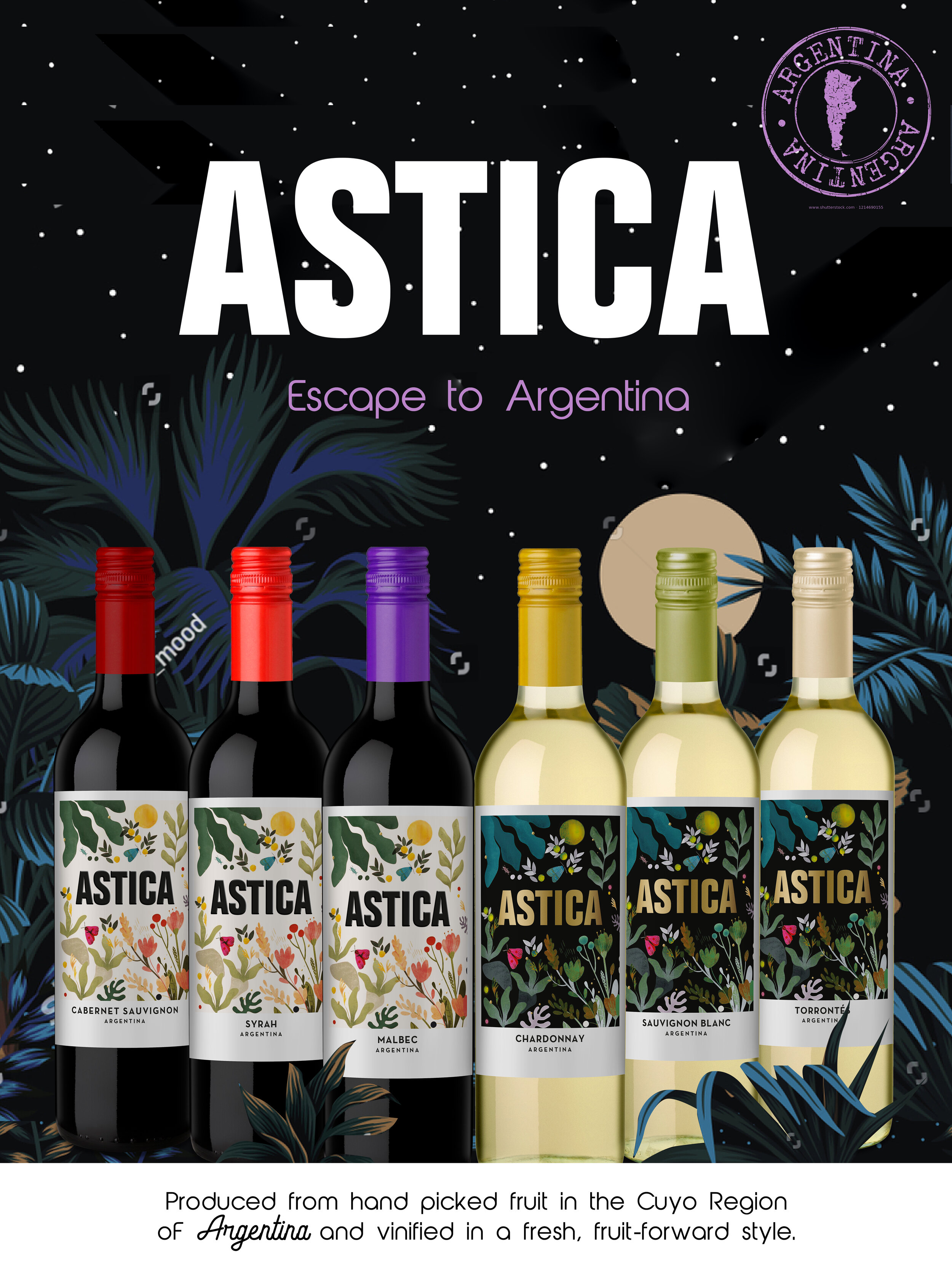 Astica_JG_2B.jpg