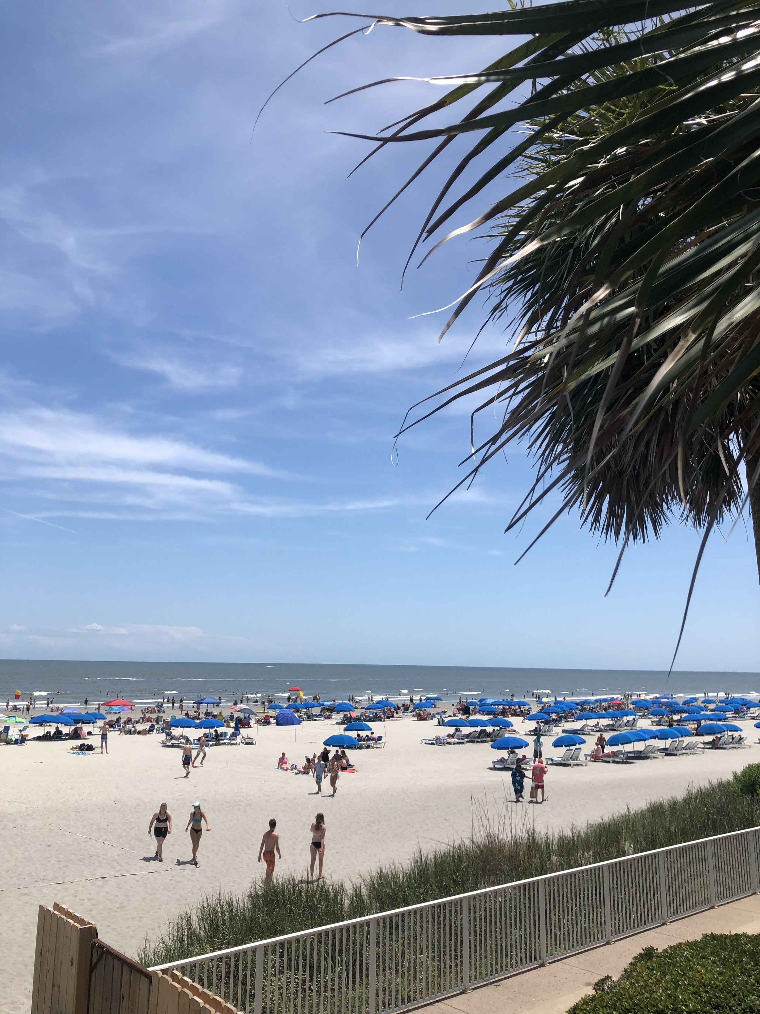 Charleston Travel Guide | Sophisticaited | Cait Fore