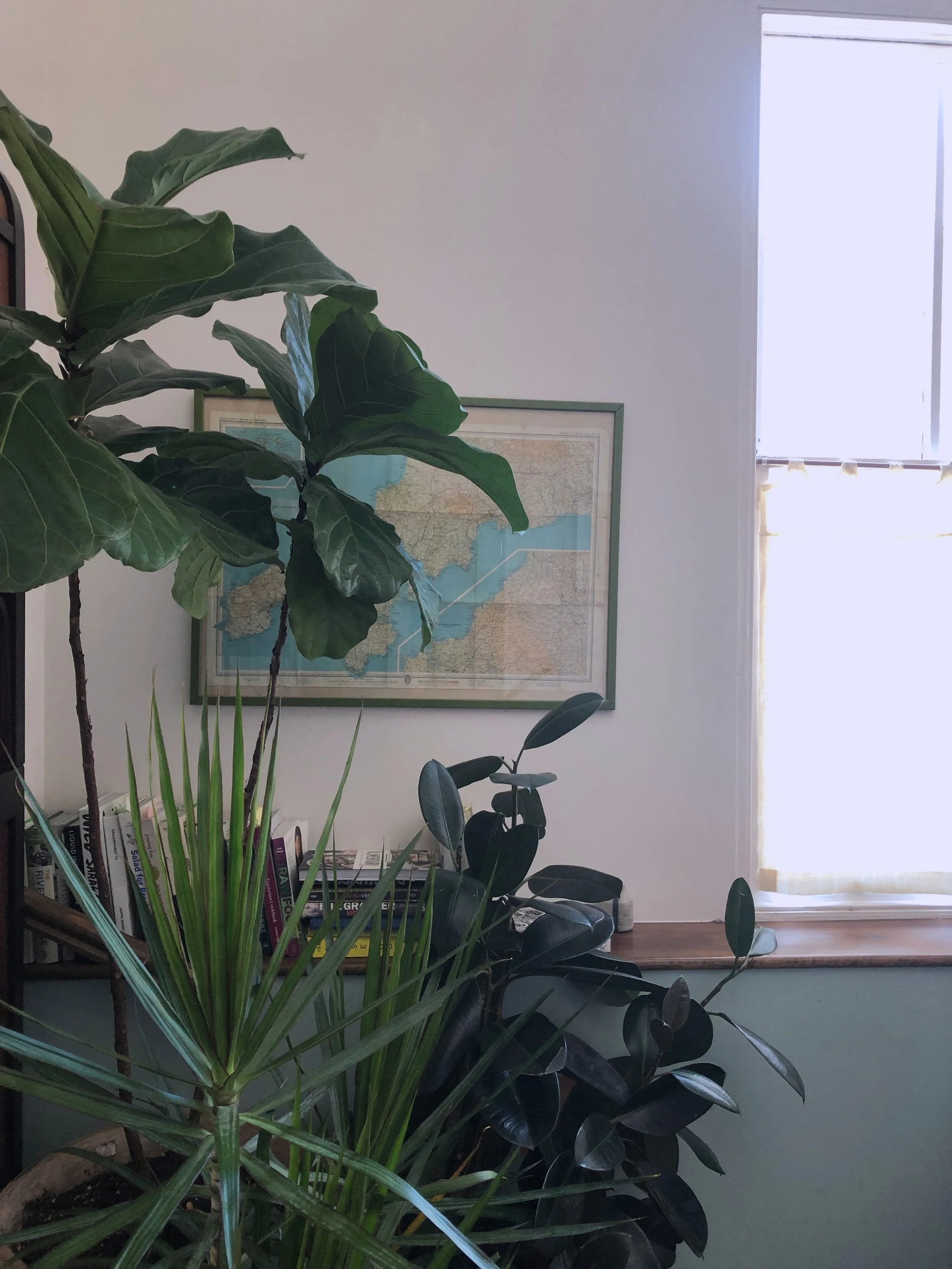 Charleston Travel Guide | Sophisticaited | Cait Fore