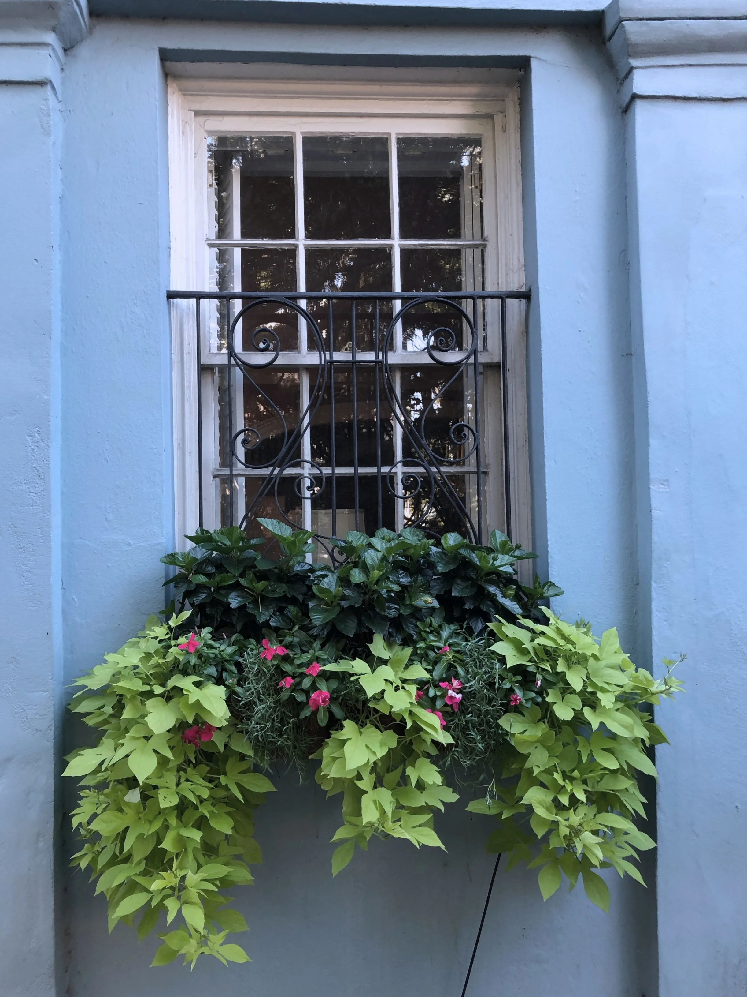 Charleston Travel Guide | Sophisticaited | Cait Fore