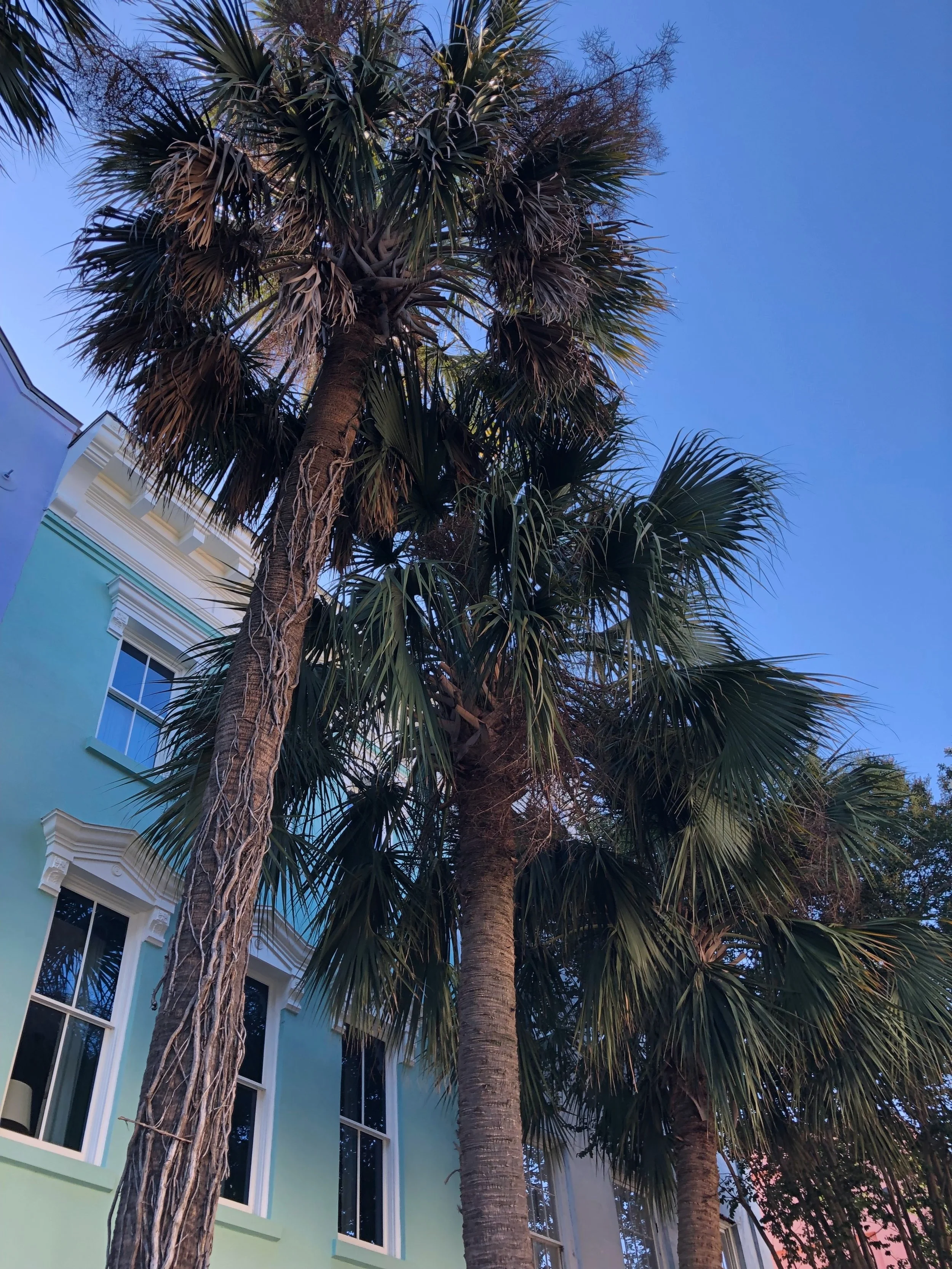 Charleston+Travel+Guide+%7C+Sophisticaited+%7C+Cait+Fore