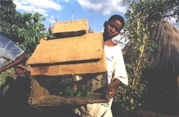 A Zambian boy shows off his homemade birdcage. (JAMES FLINT)