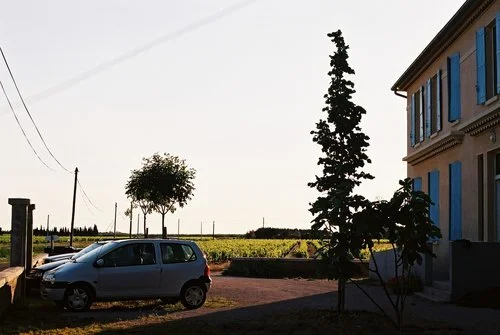 twingo___sunset.jpeg