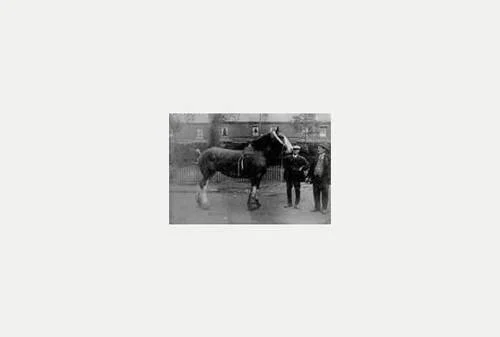 Arthur_Cooper_with_horse.jpeg