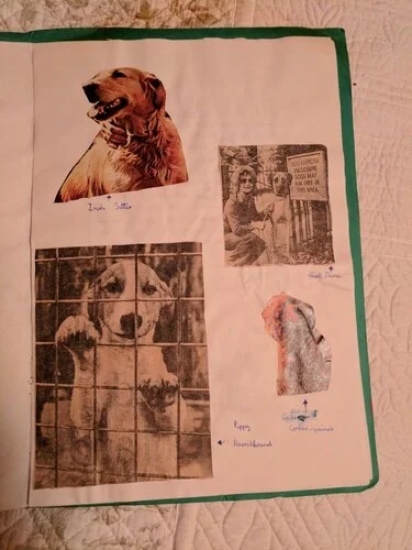 Space and dogs - dogs.jpeg