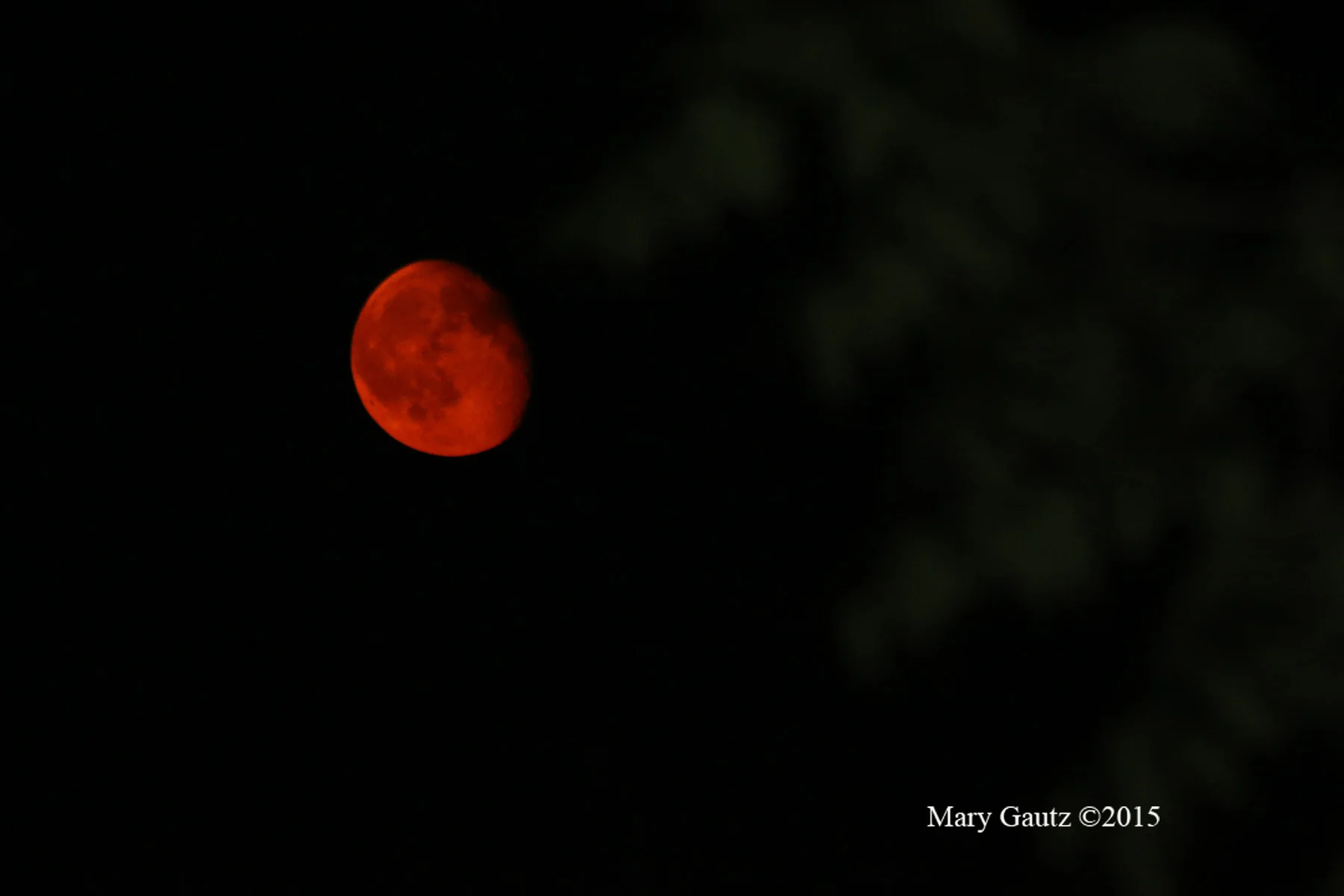Red Moon