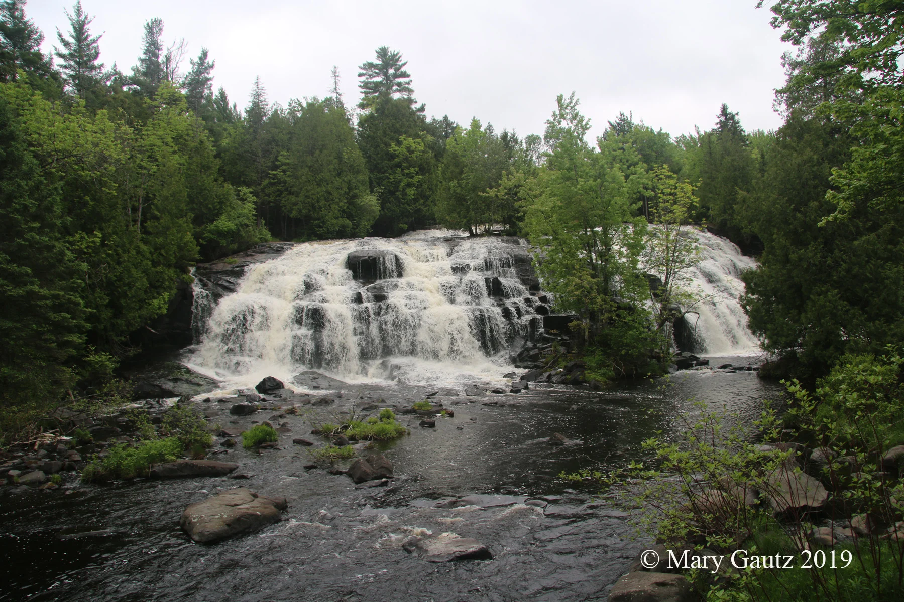 Bond falls