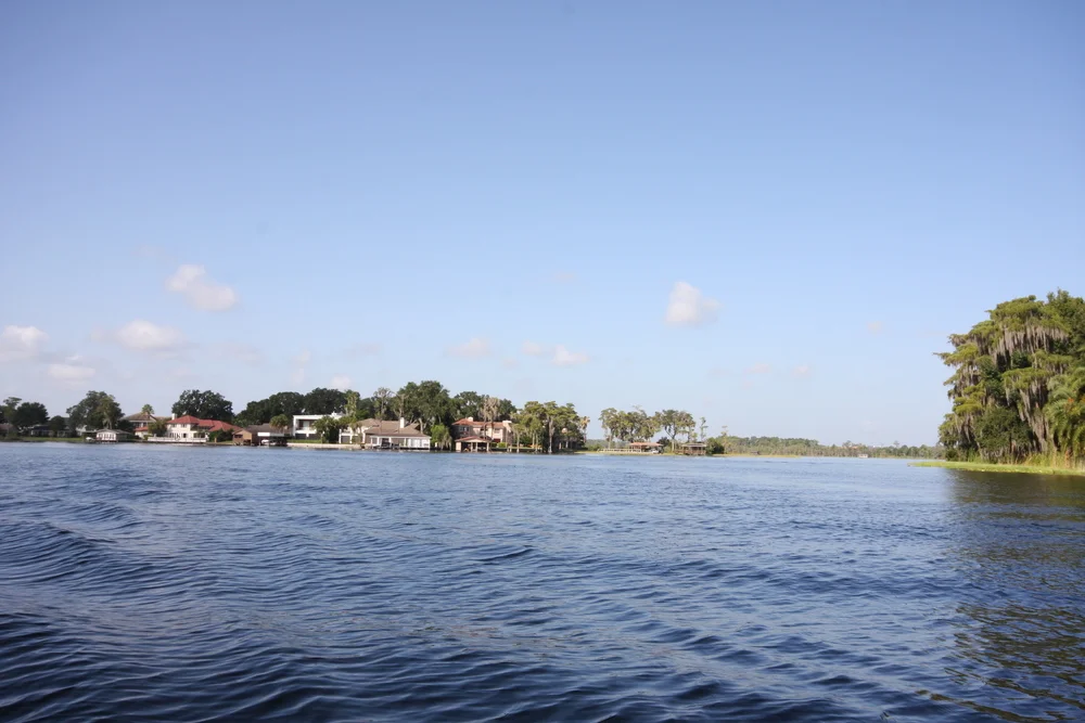 IMG_3875.jpg