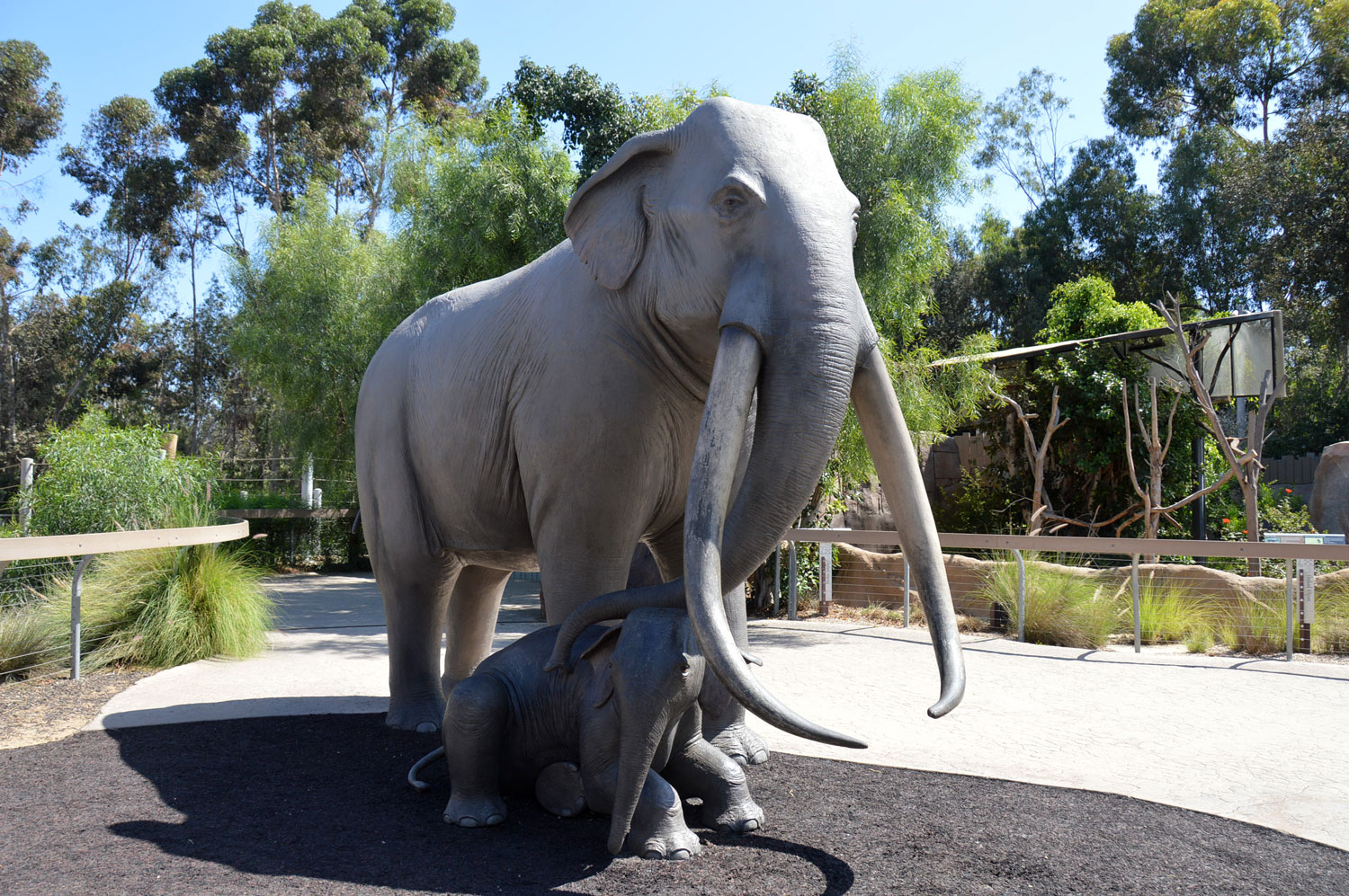 Columbian-Mammoth1.jpg