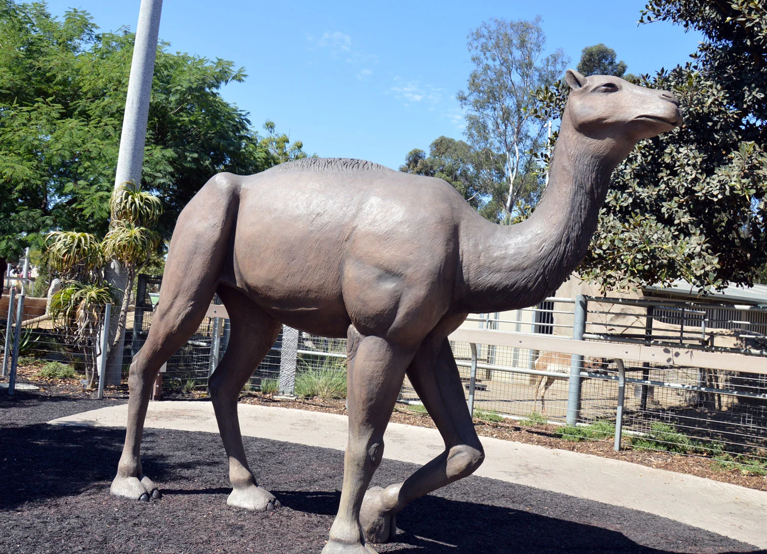 Western-Giant-Camel.jpg