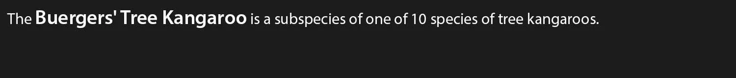 Buerger's-Tree-Kangaroo.jpg