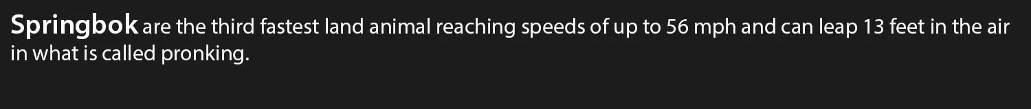 Springbok.jpg