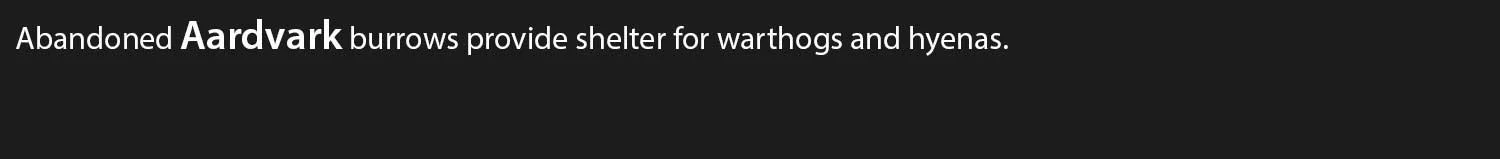 Aardvark.jpg