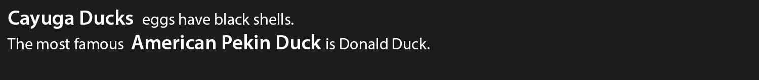 Duck.jpg