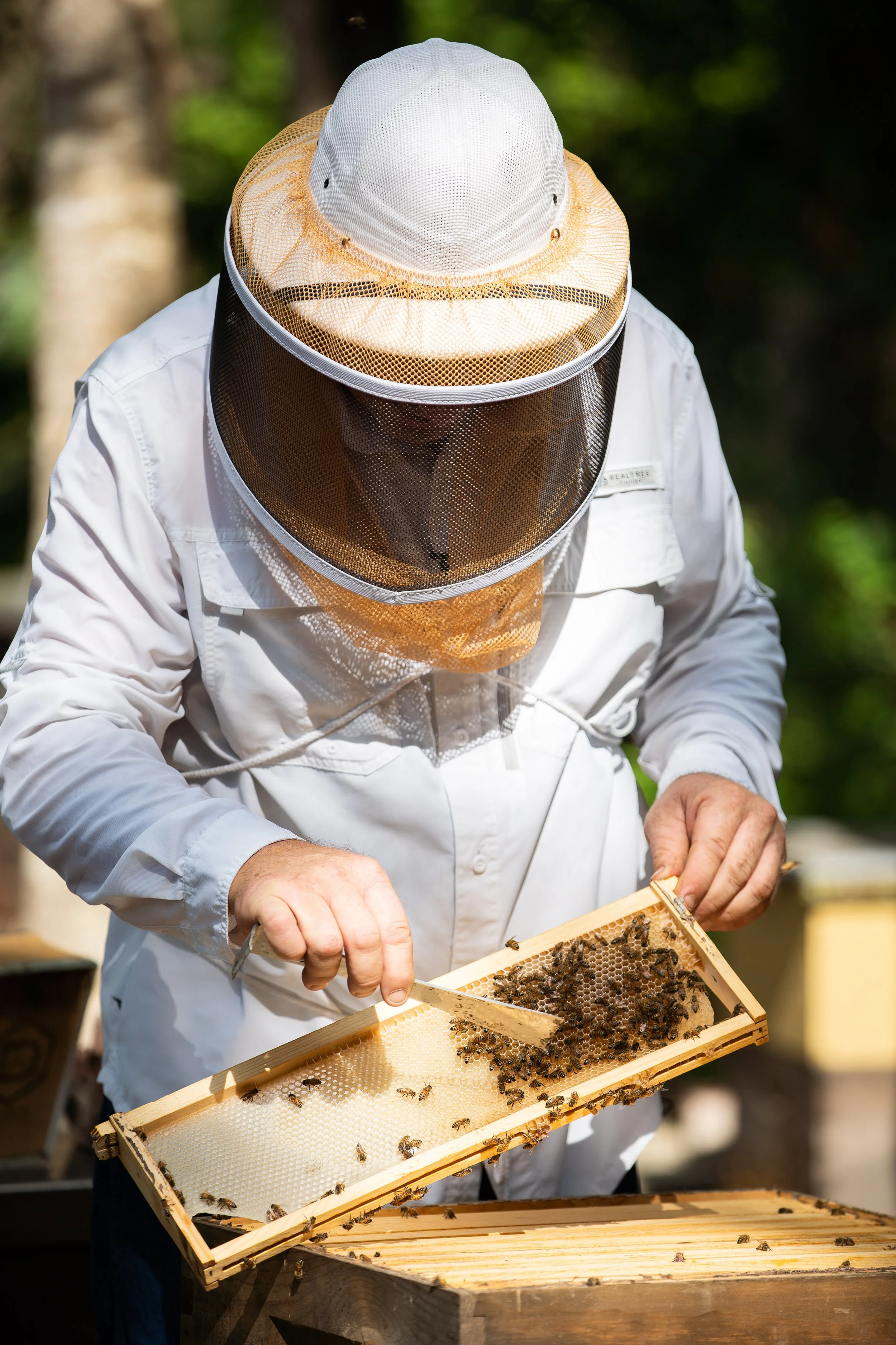 2021-07-19_Damon-Roy_Raw-Honey_185.jpg