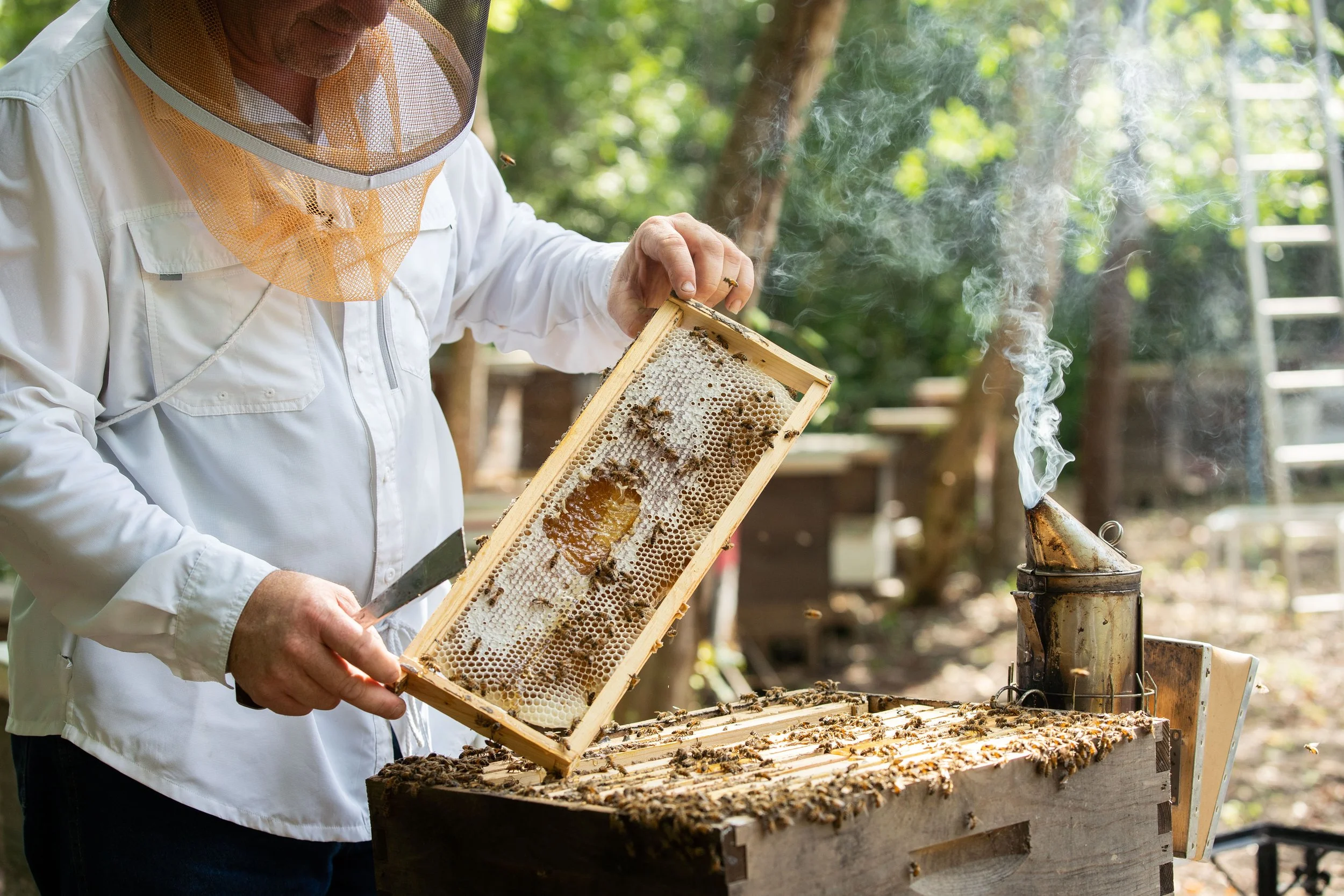 2021-07-19_Damon-Roy_Raw-Honey_244.jpg
