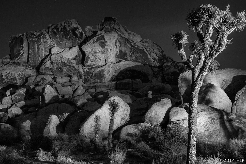 untitled-9277-Edit.jpg